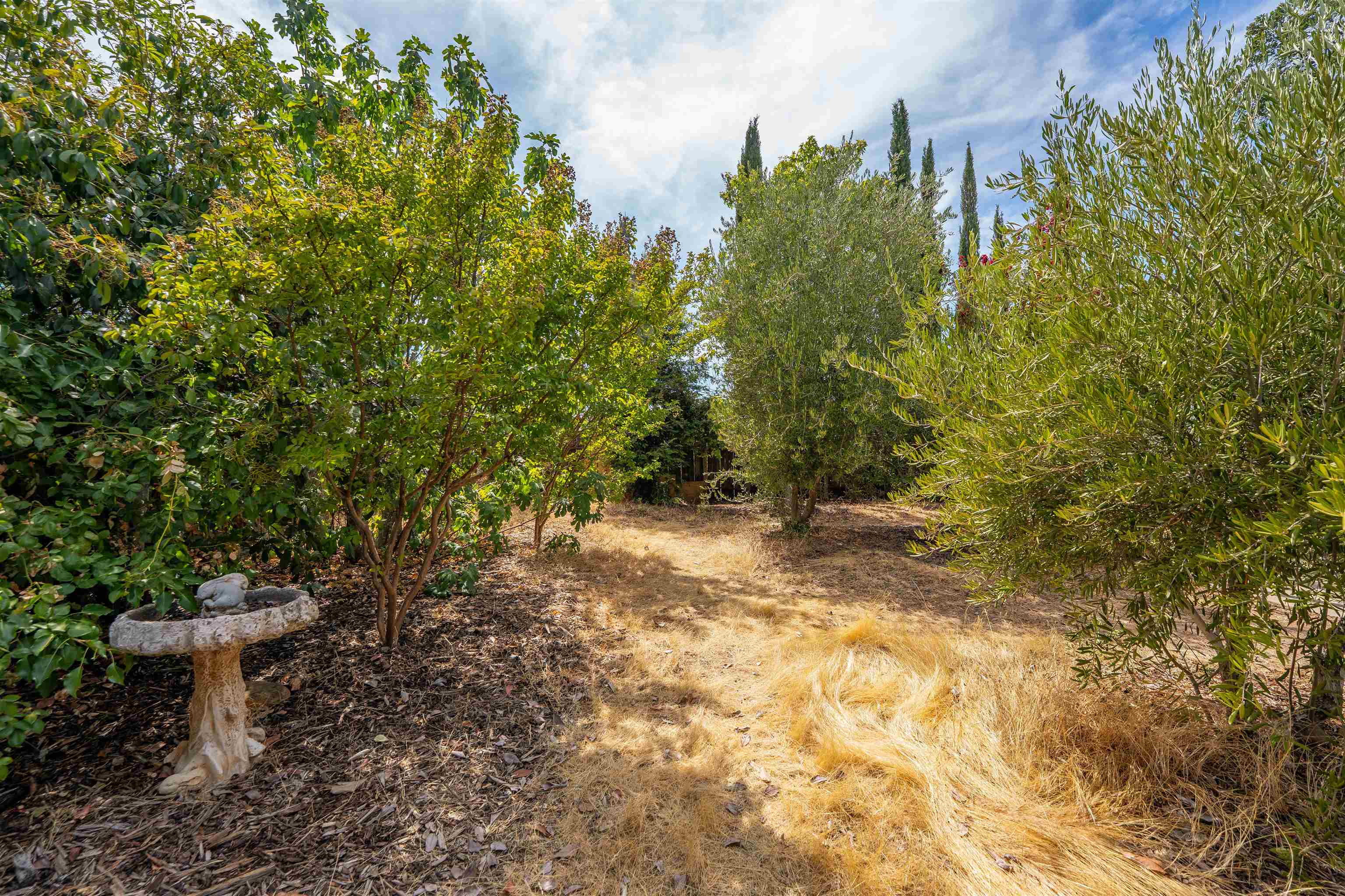 667 Brookridge Drive