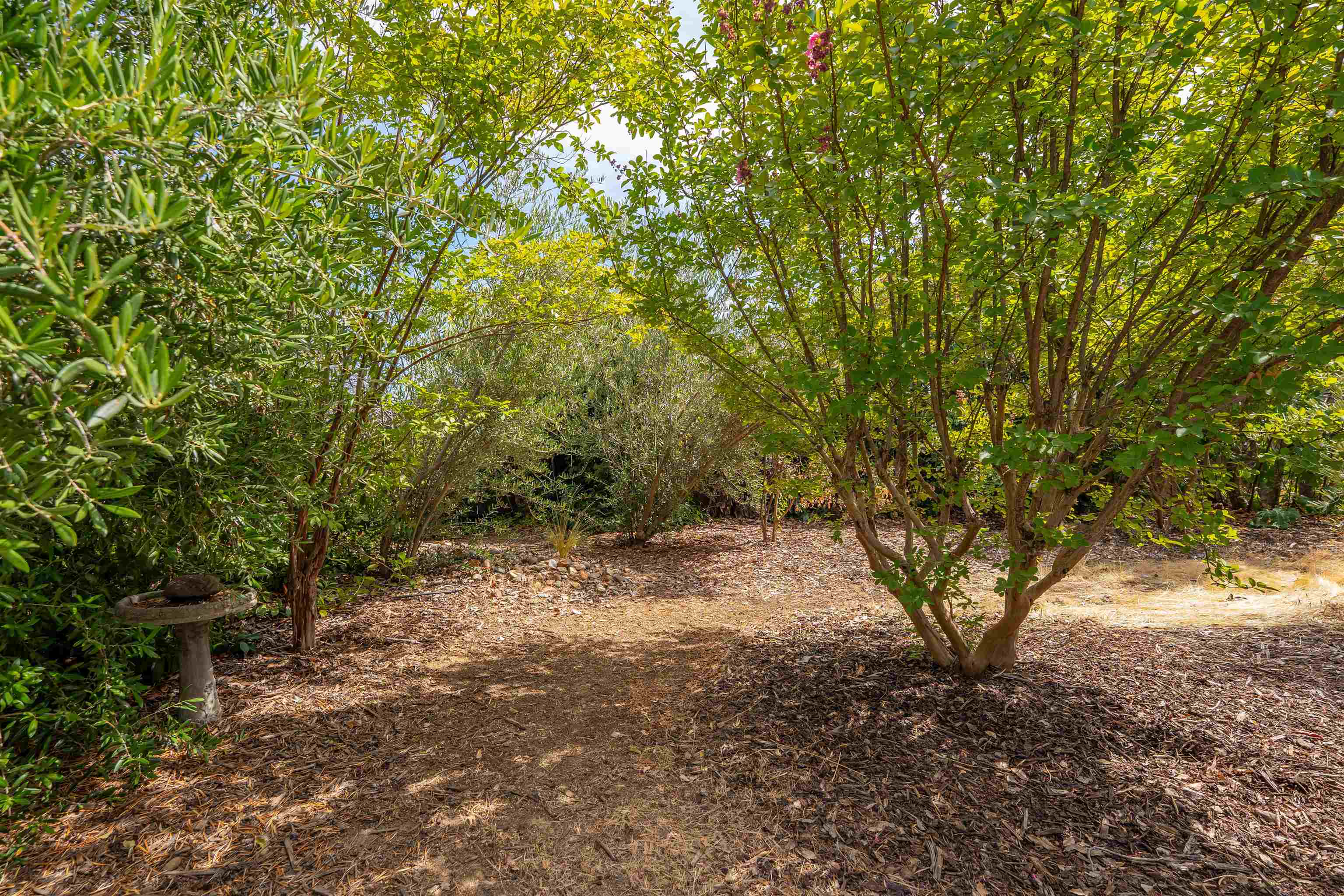 667 Brookridge Drive