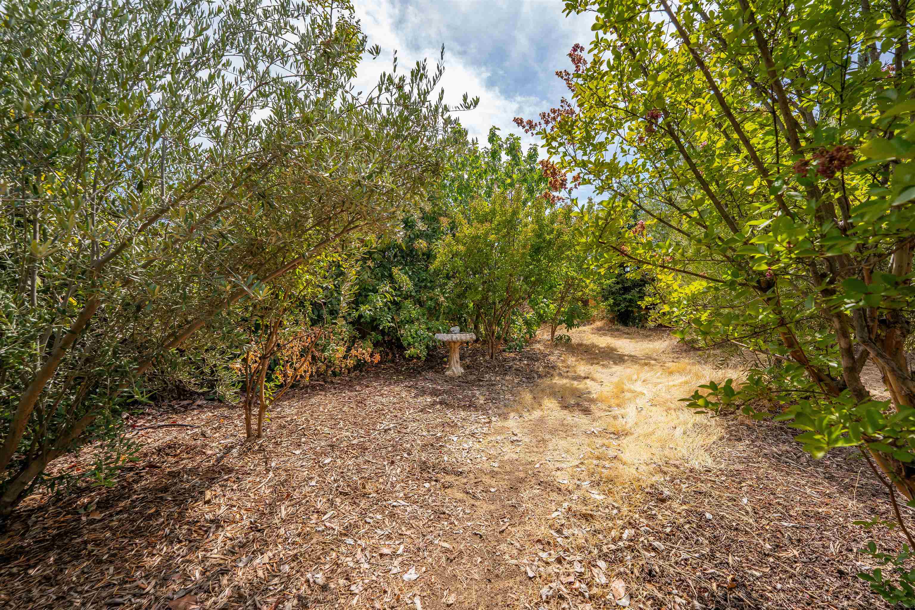 667 Brookridge Drive