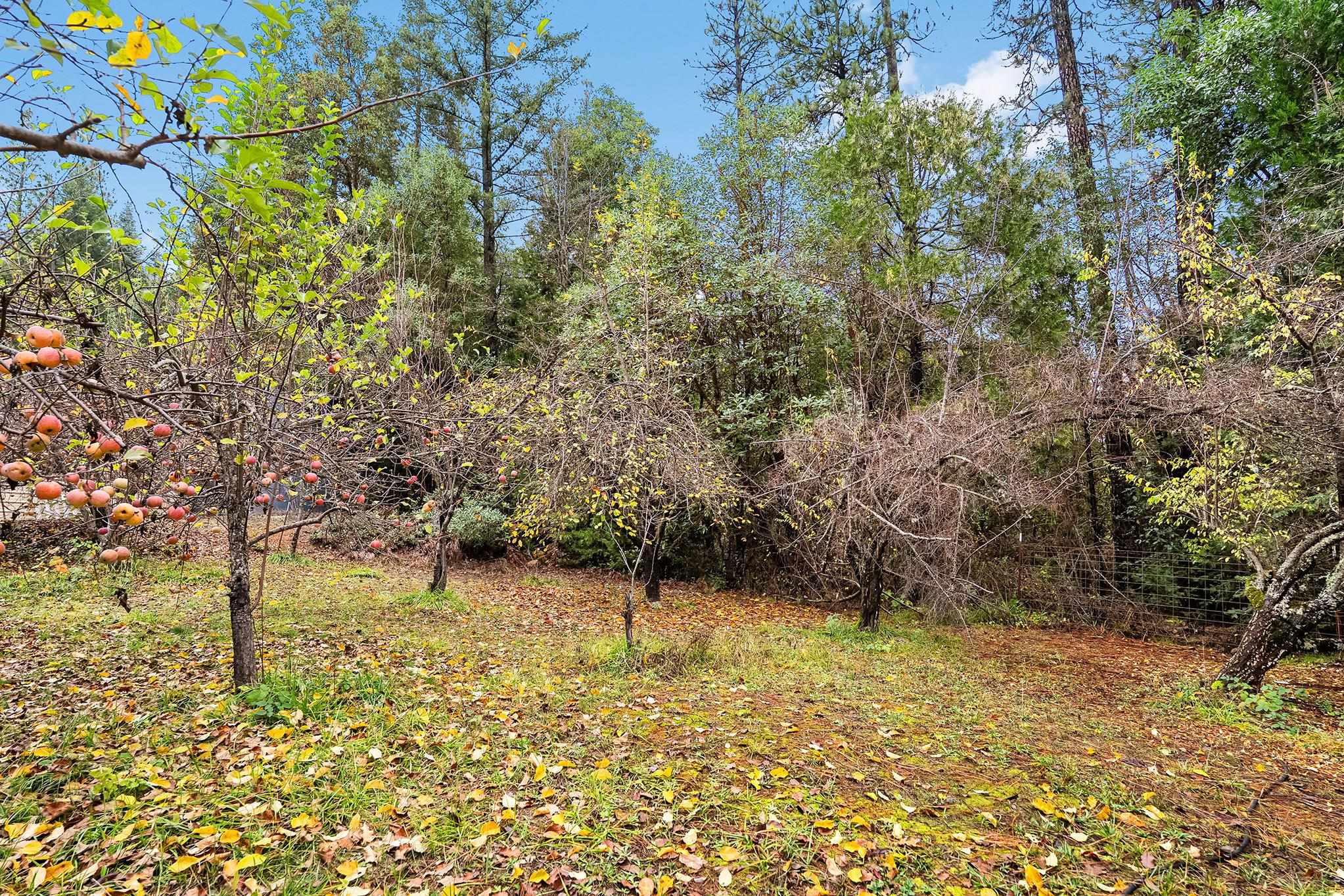 18774 Challenge Cut Off Rd