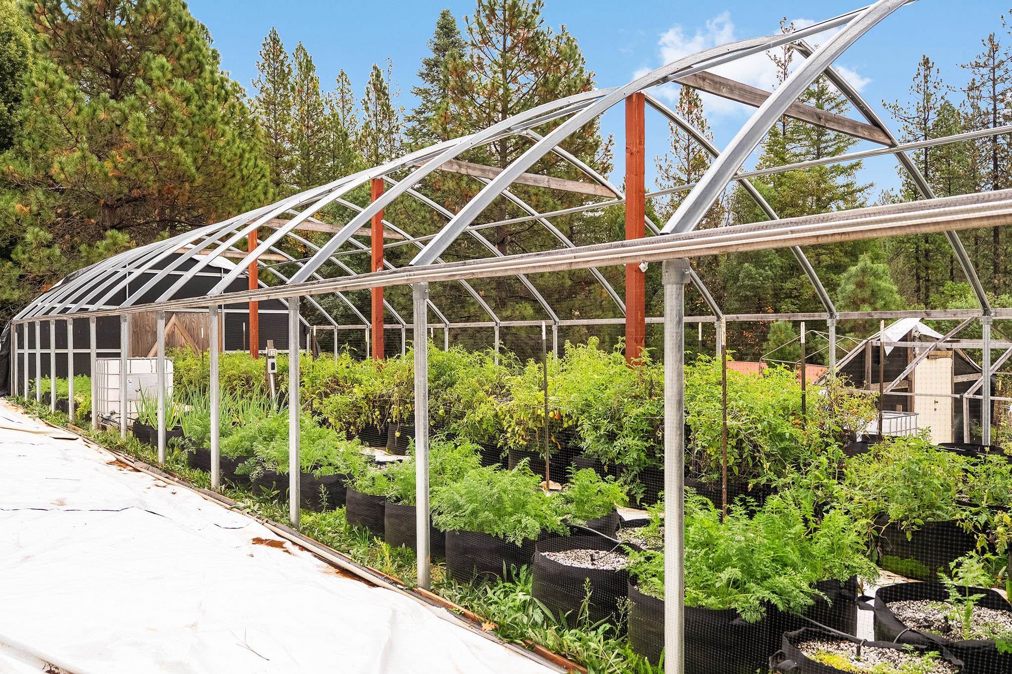 18774 Challenge Cut Off Rd