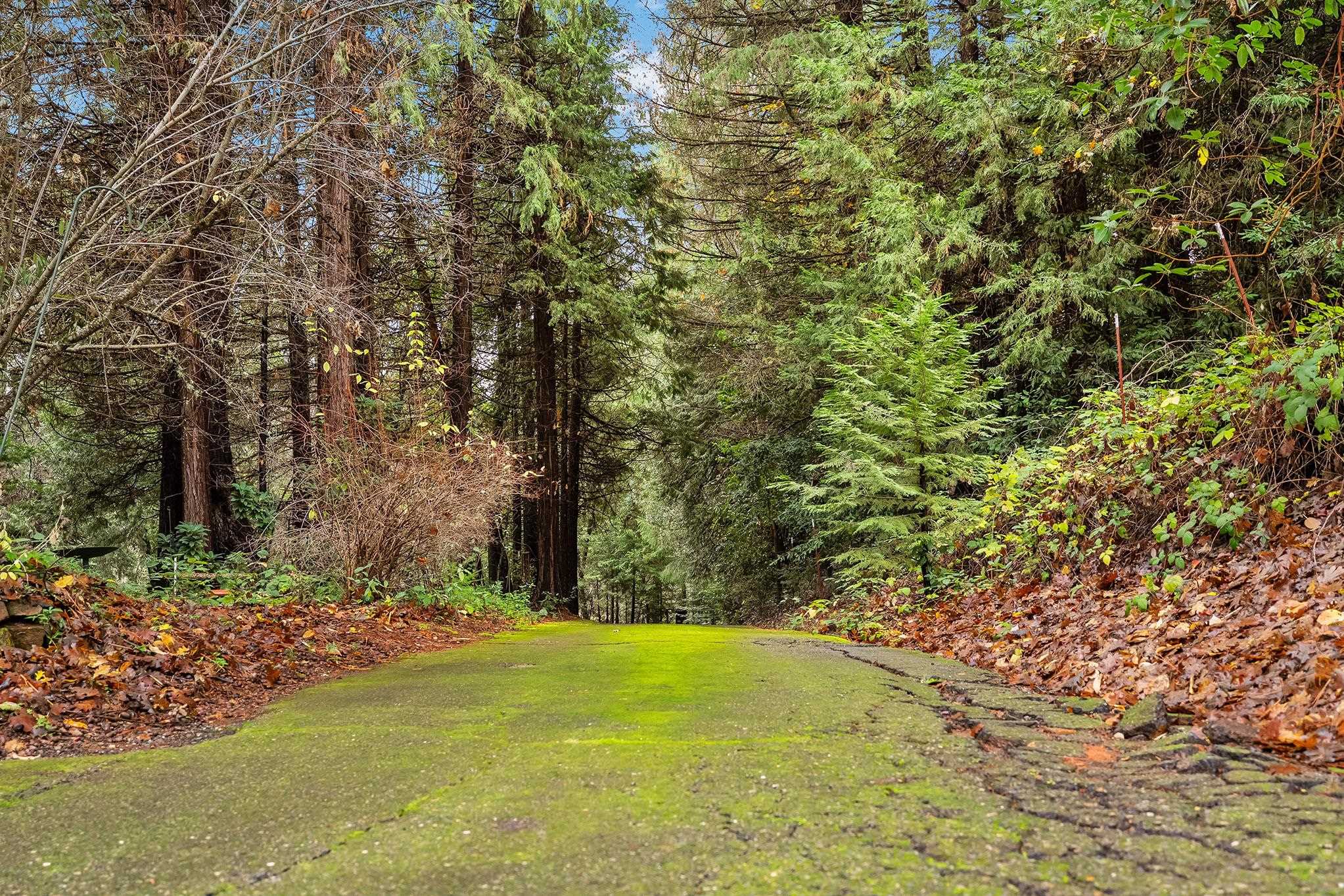 18774 Challenge Cut Off Rd