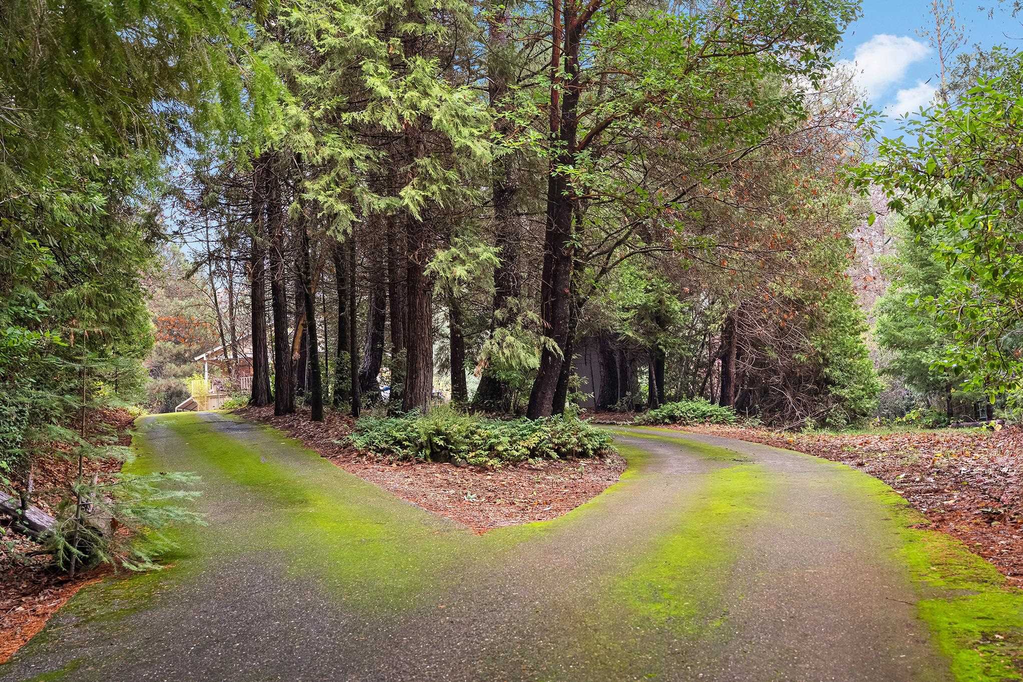 18774 Challenge Cut Off Rd