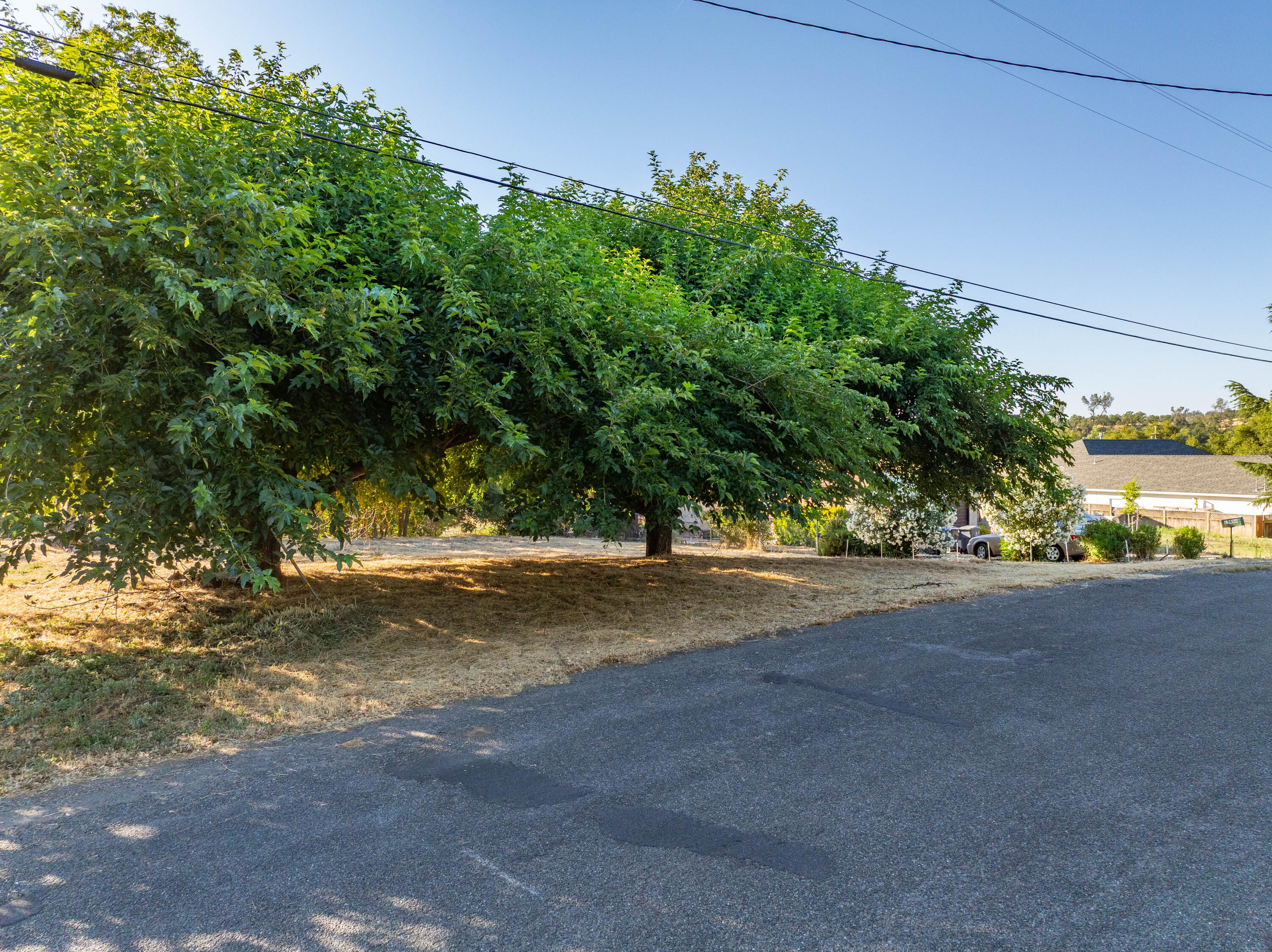 15460 China Rapids Drive