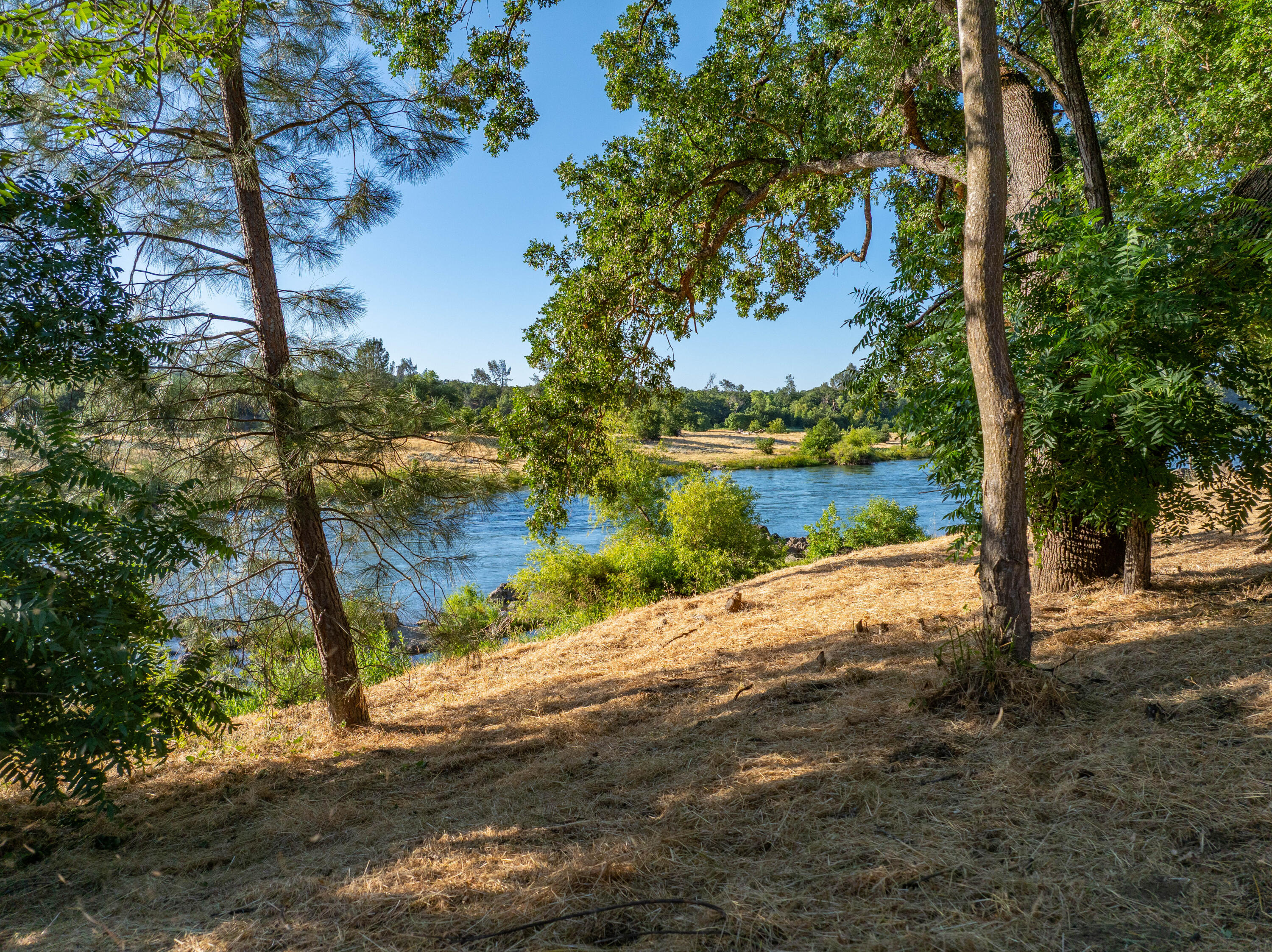 15460 China Rapids Drive