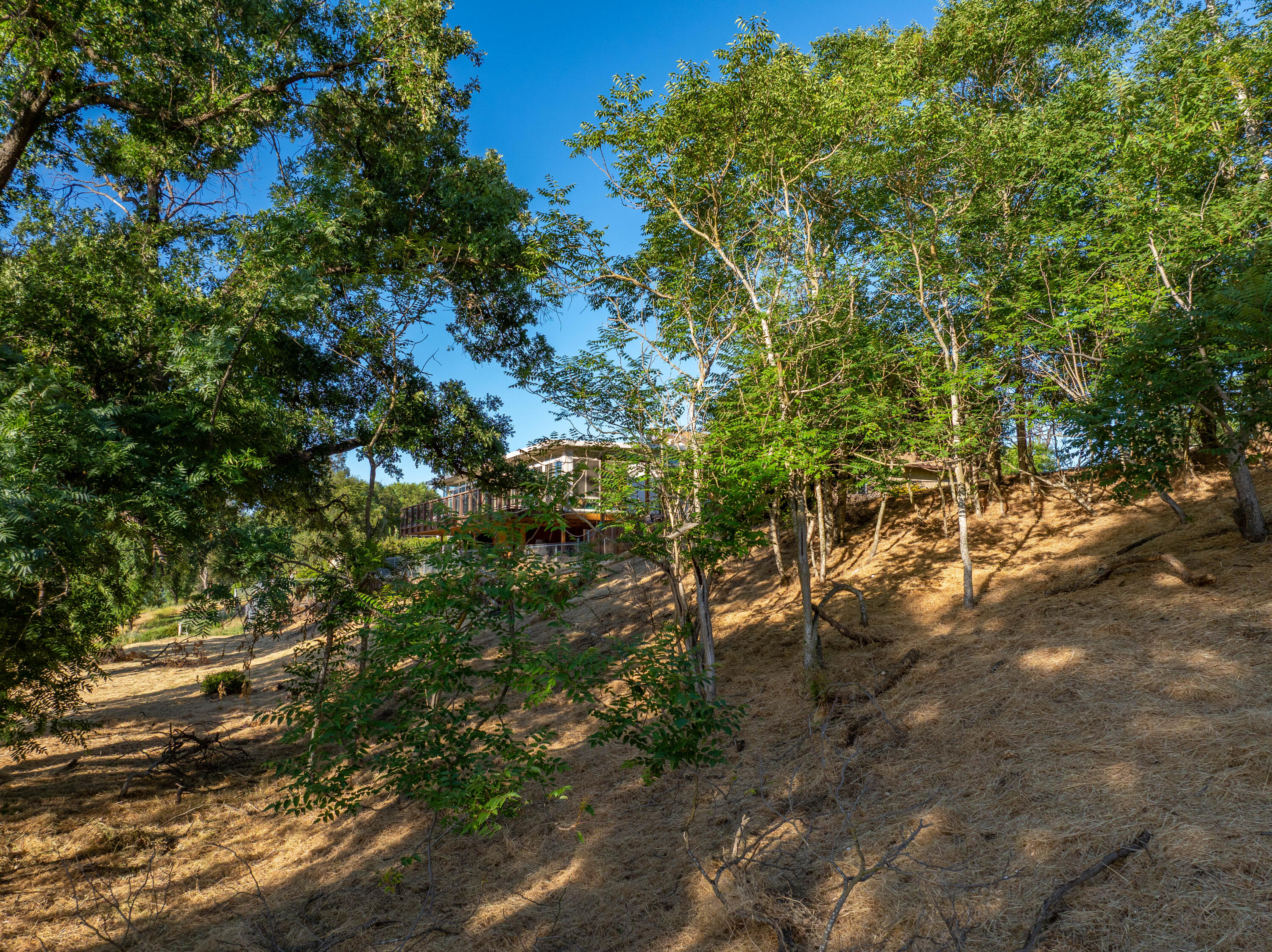 15460 China Rapids Drive
