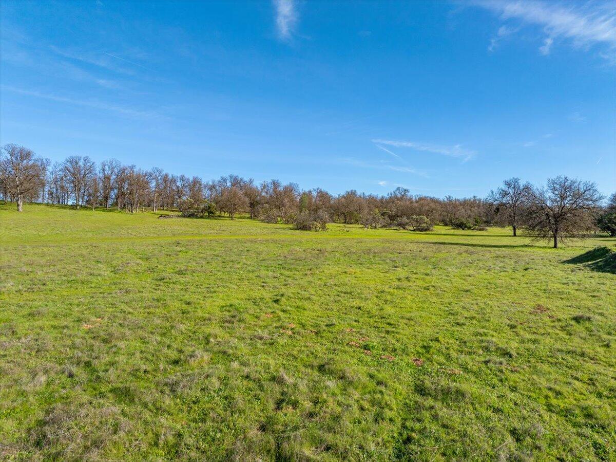 15525 Bowman Road