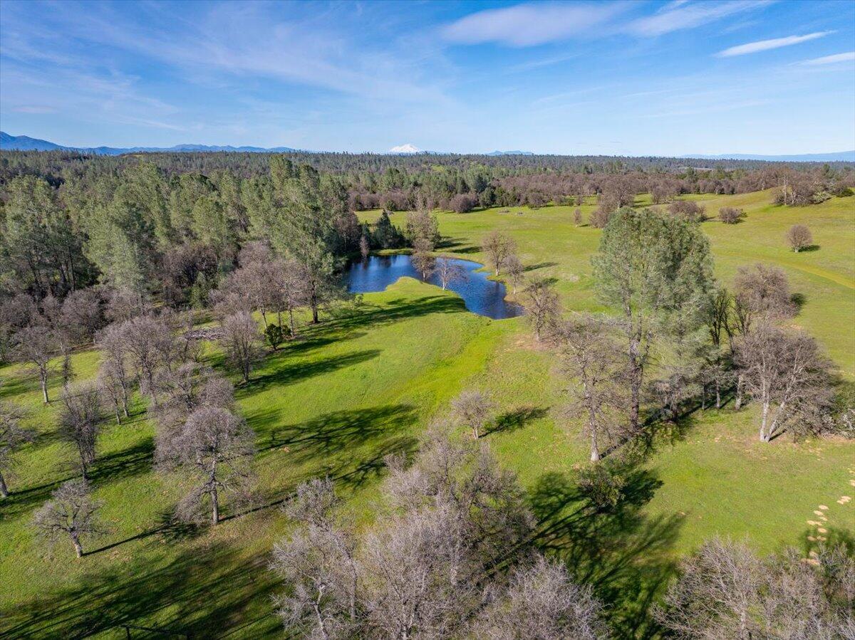 15525 Bowman Road