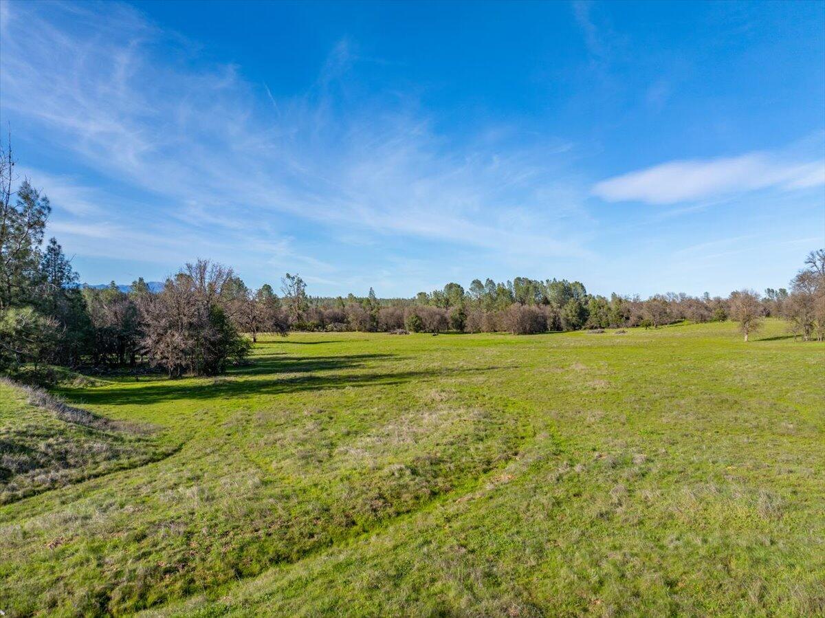 15525 Bowman Road