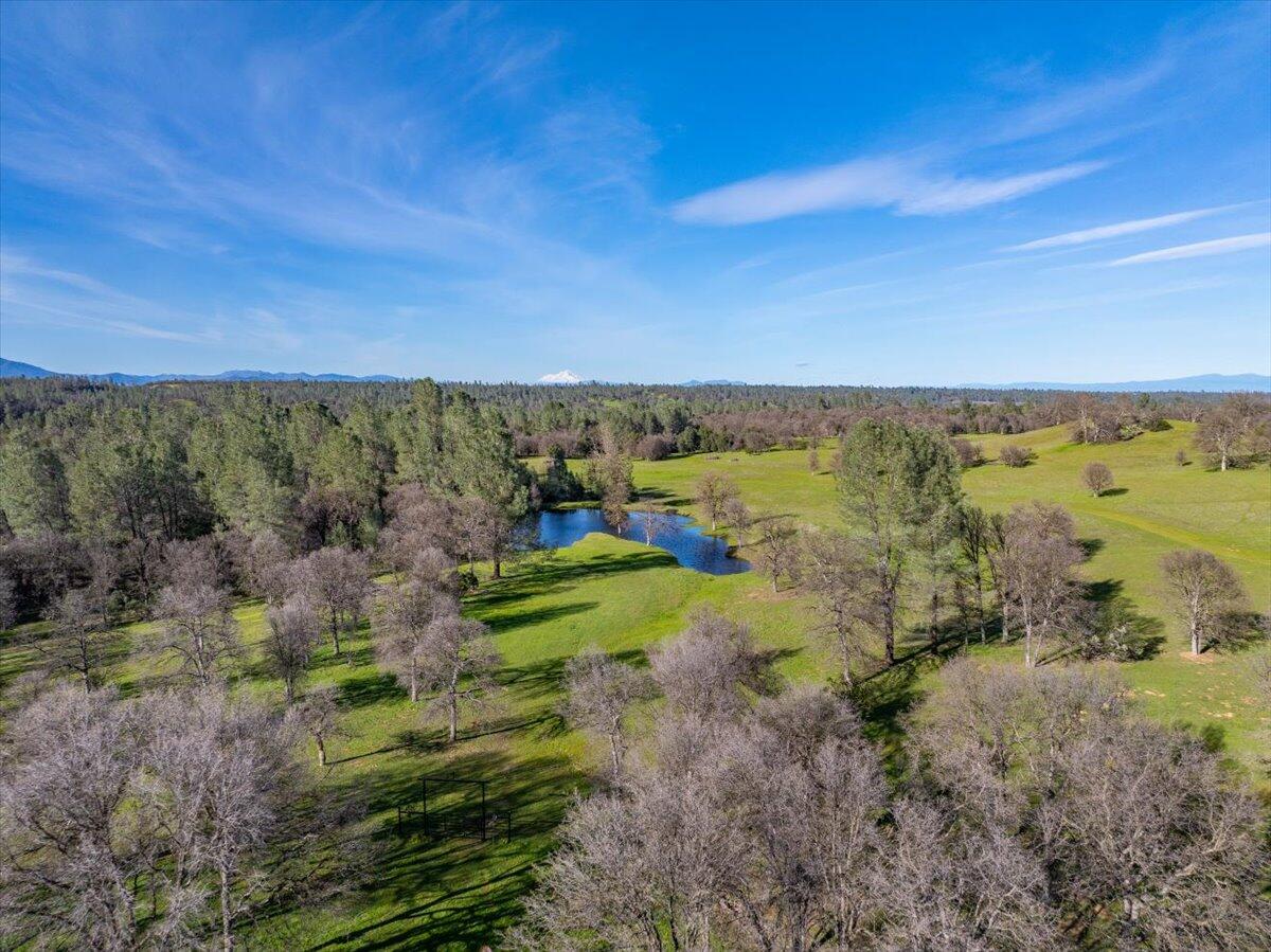 15525 Bowman Road
