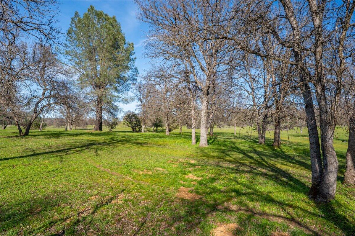 15525 Bowman Road
