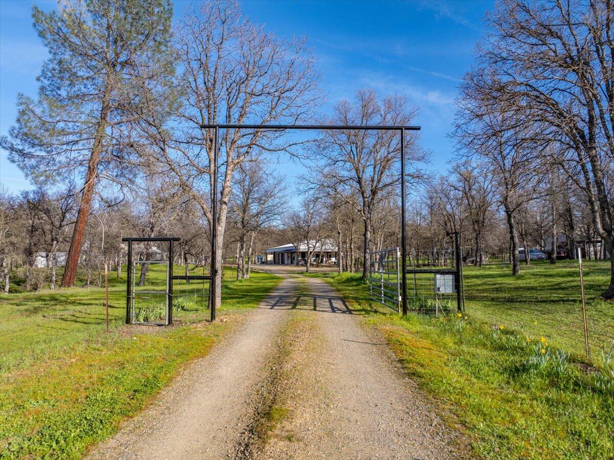 15525 Bowman Road