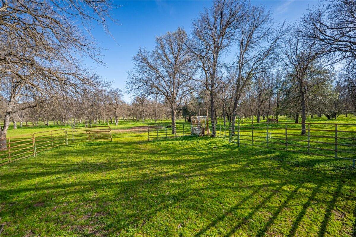15525 Bowman Road
