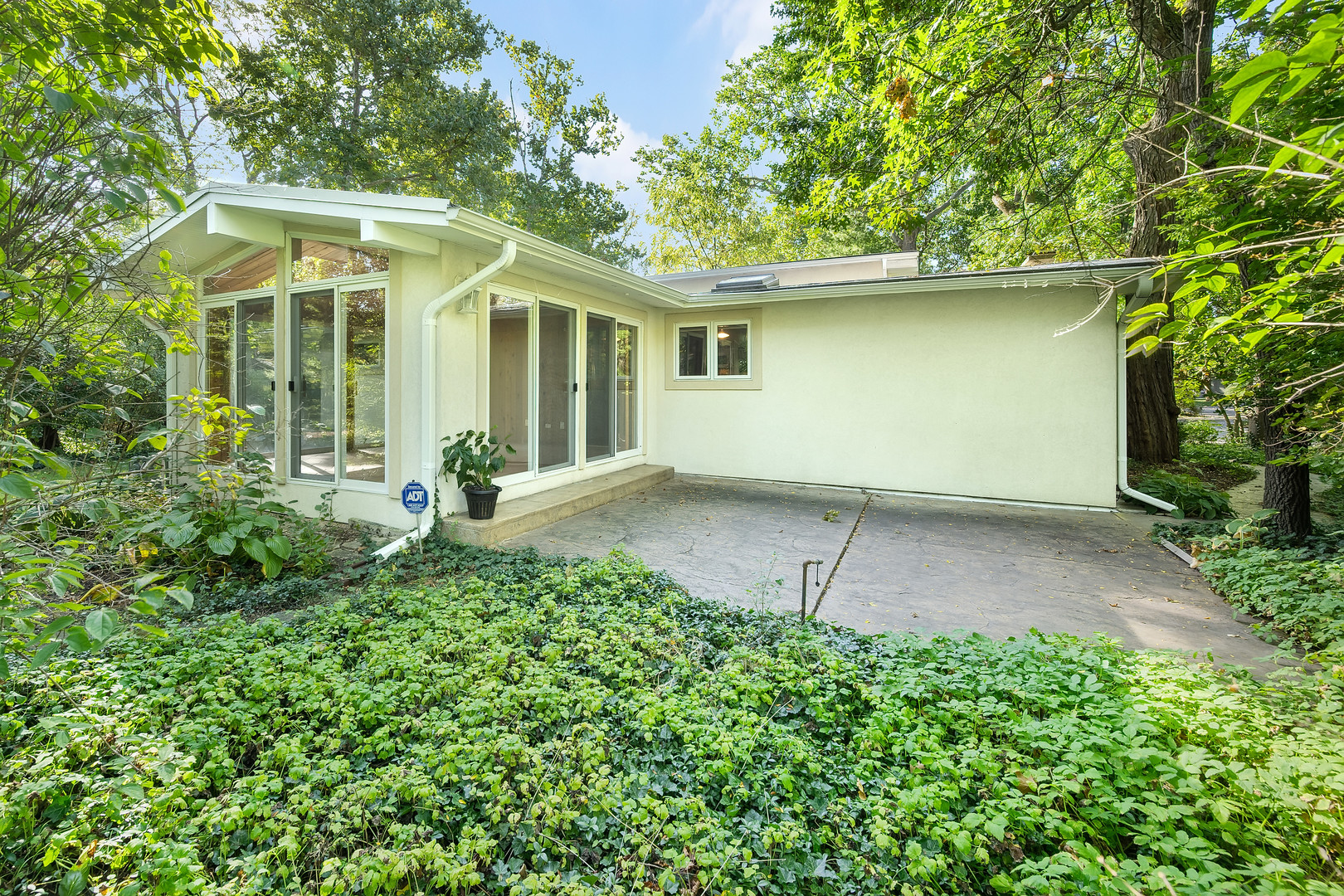 317 Shady Lane