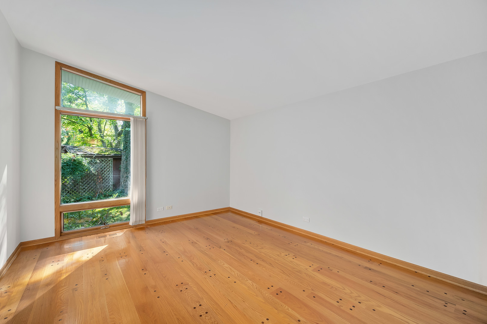 317 Shady Lane