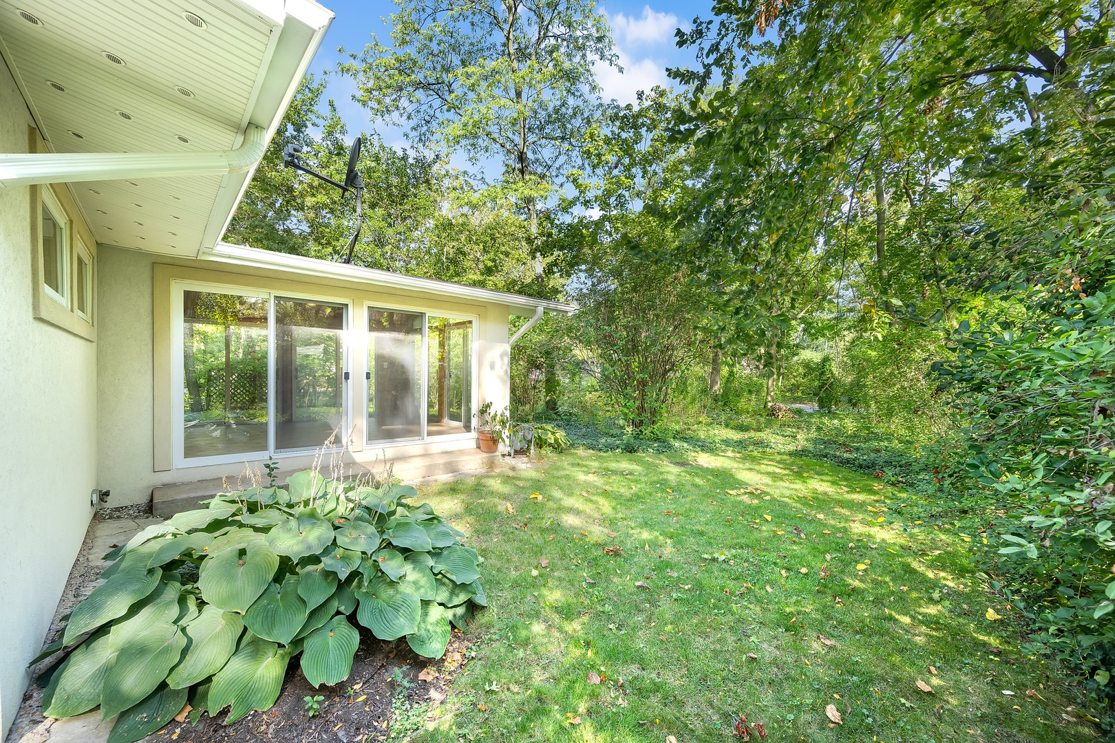 317 Shady Lane