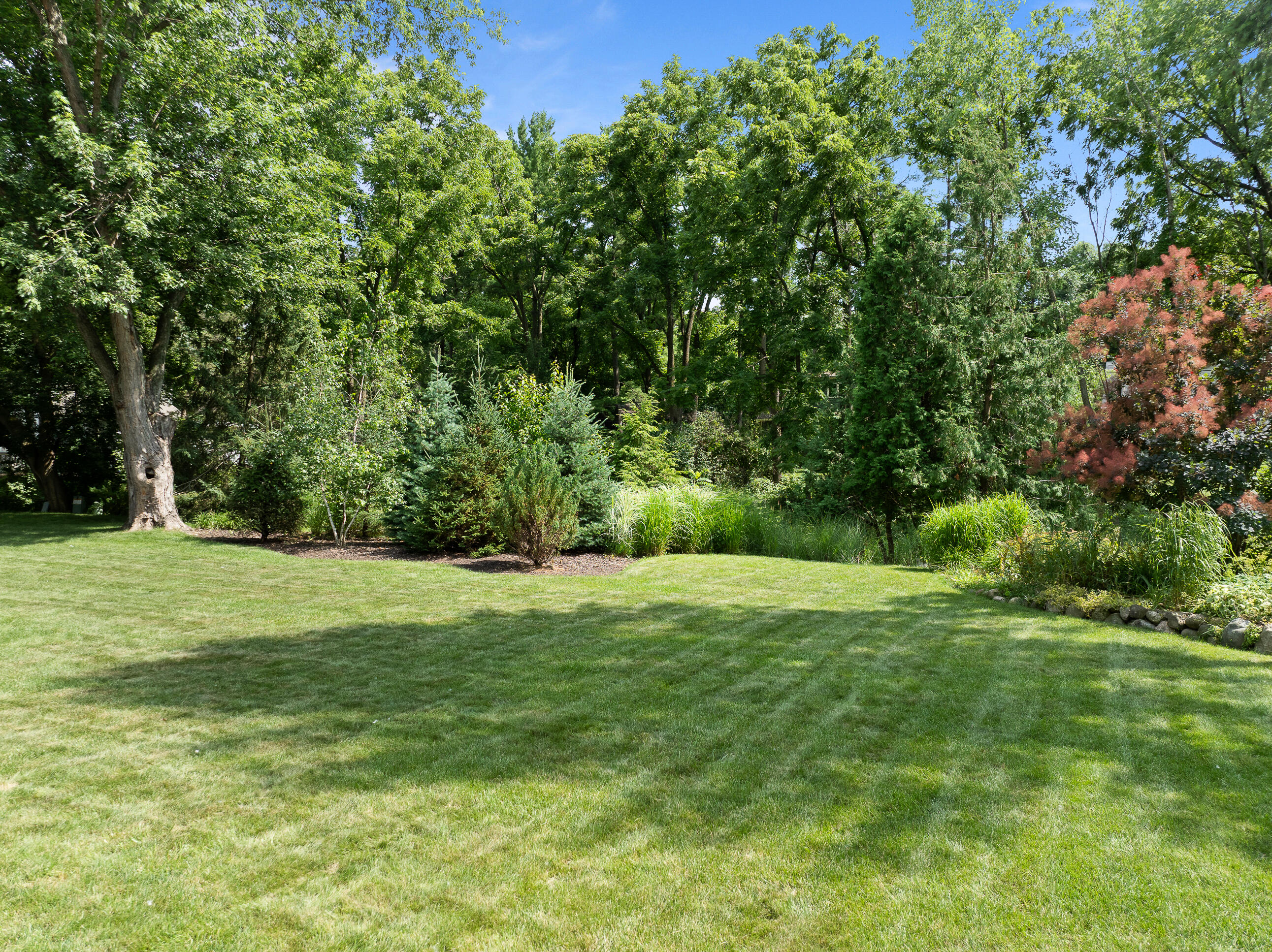 513 Wiswell Dr
