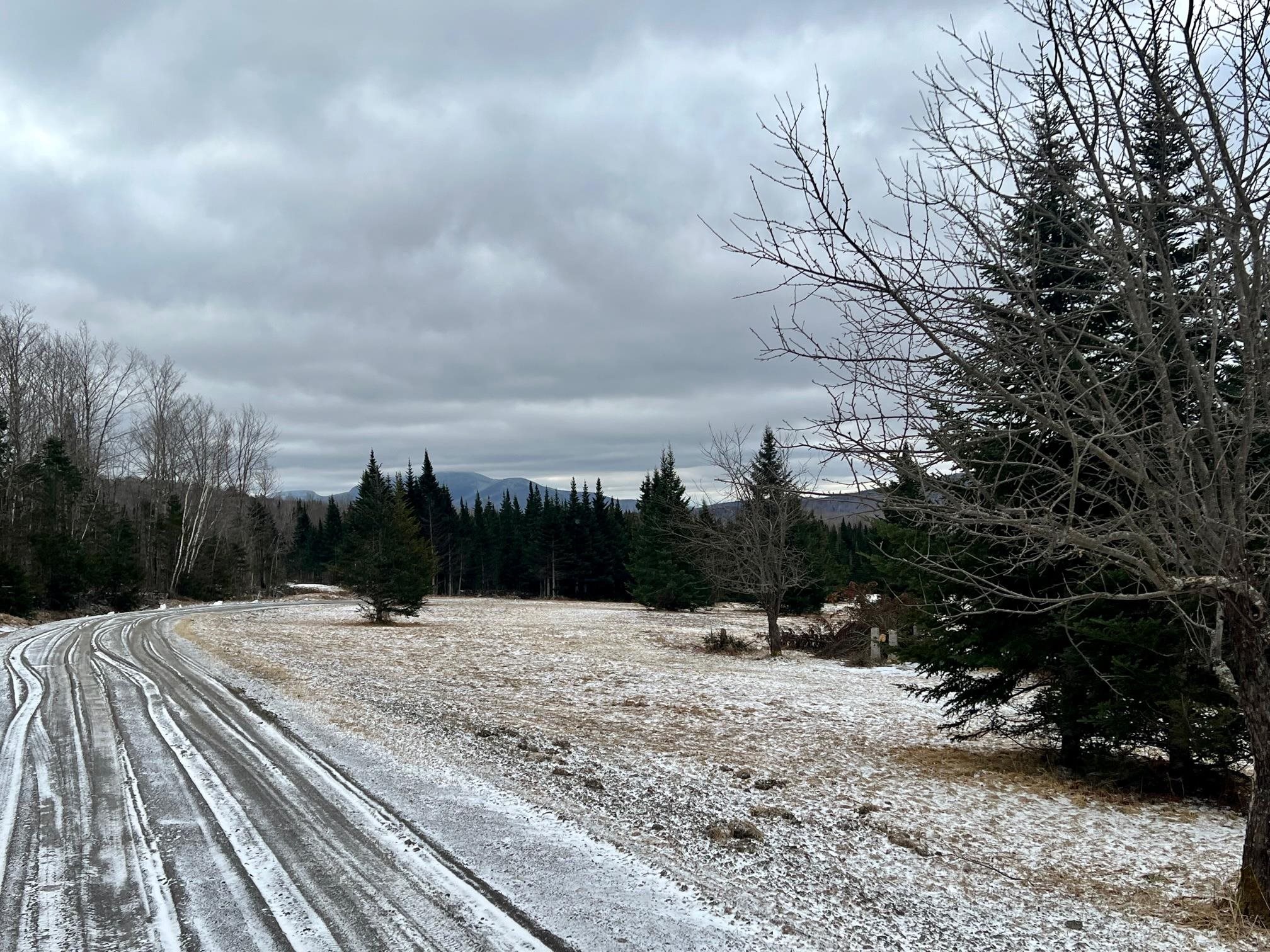 - Frizzell Road