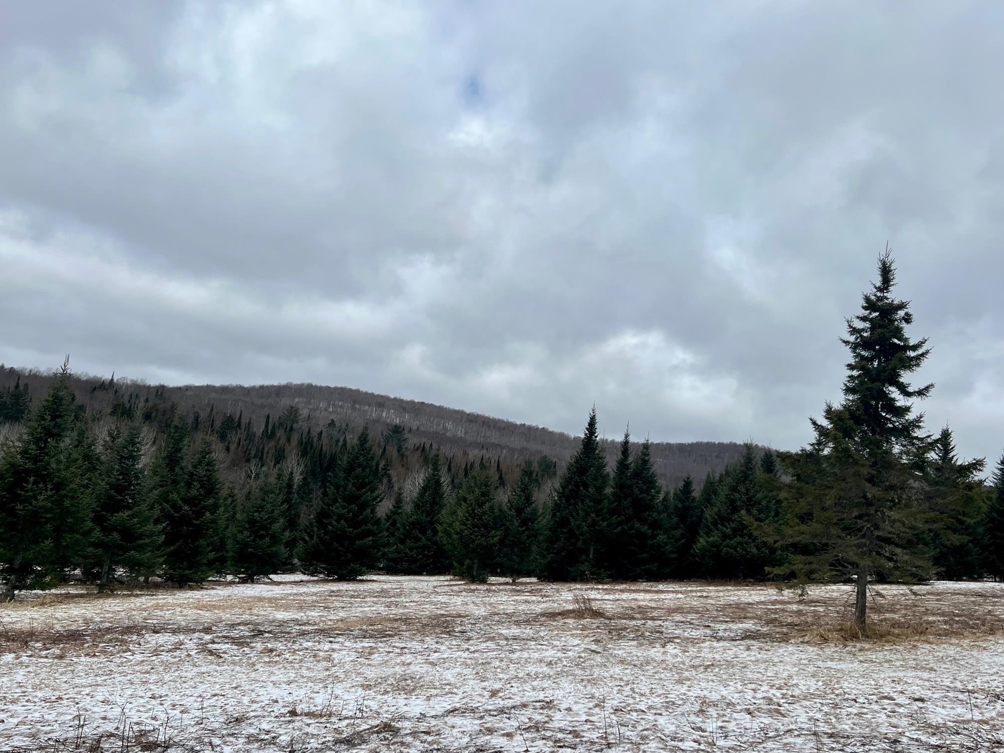 - Frizzell Road