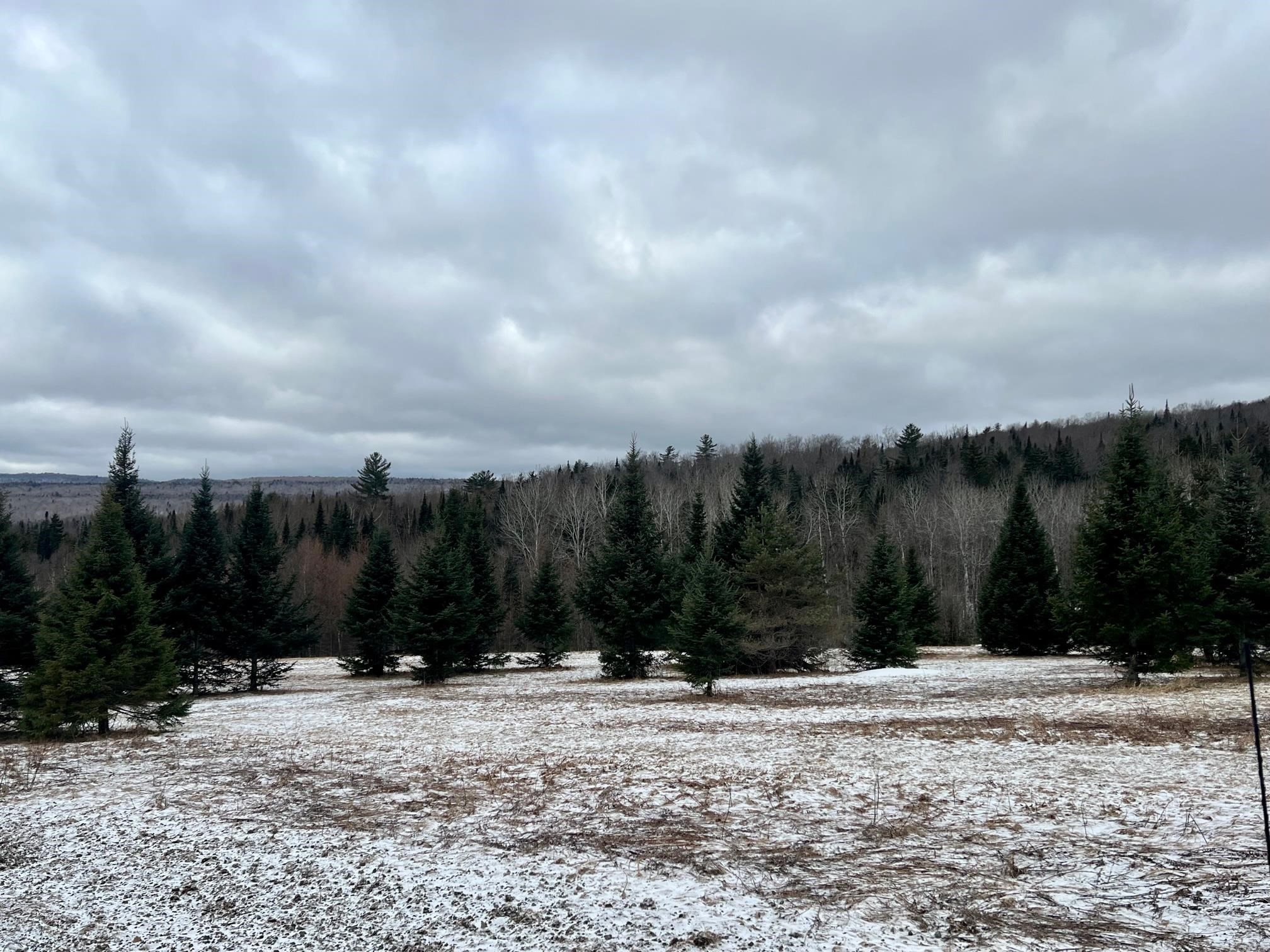 - Frizzell Road