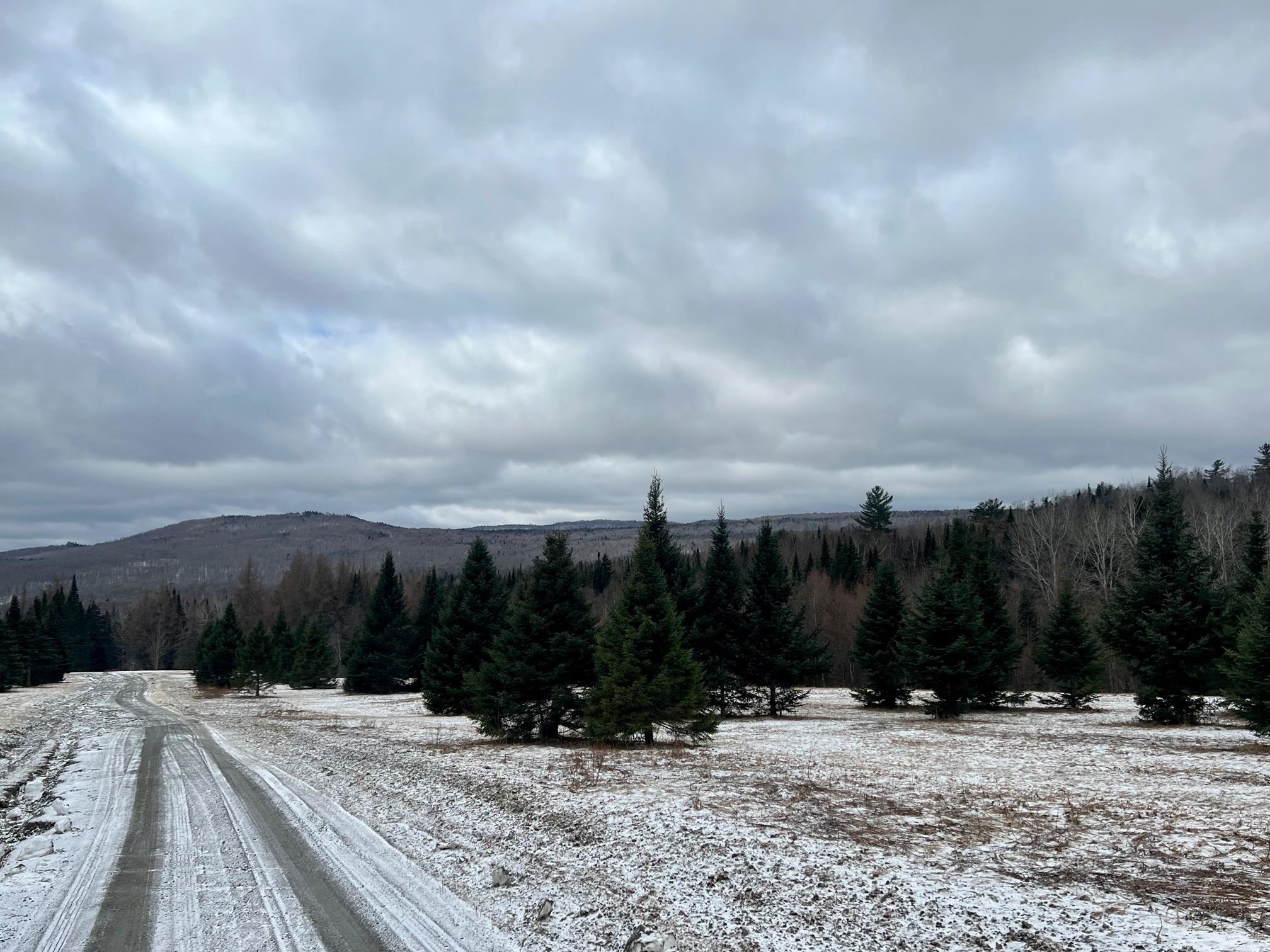 - Frizzell Road