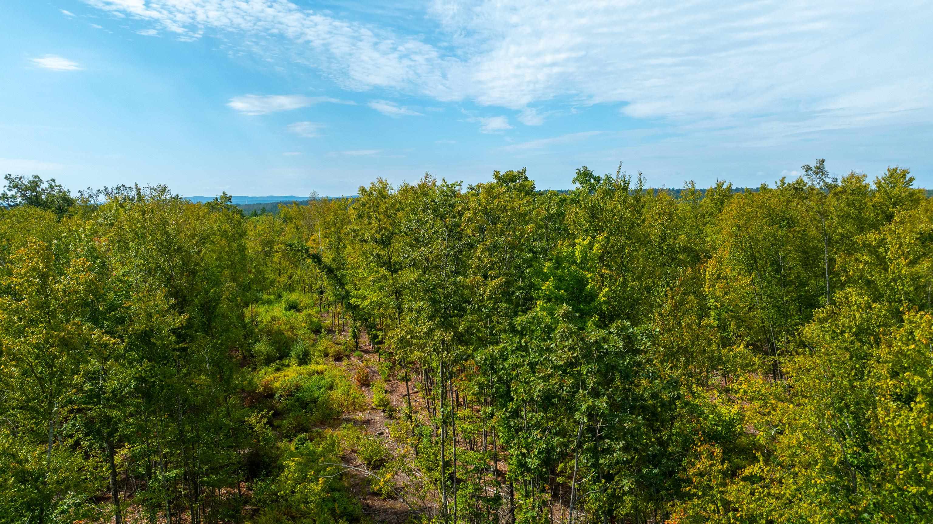 401 Sixth Range Road