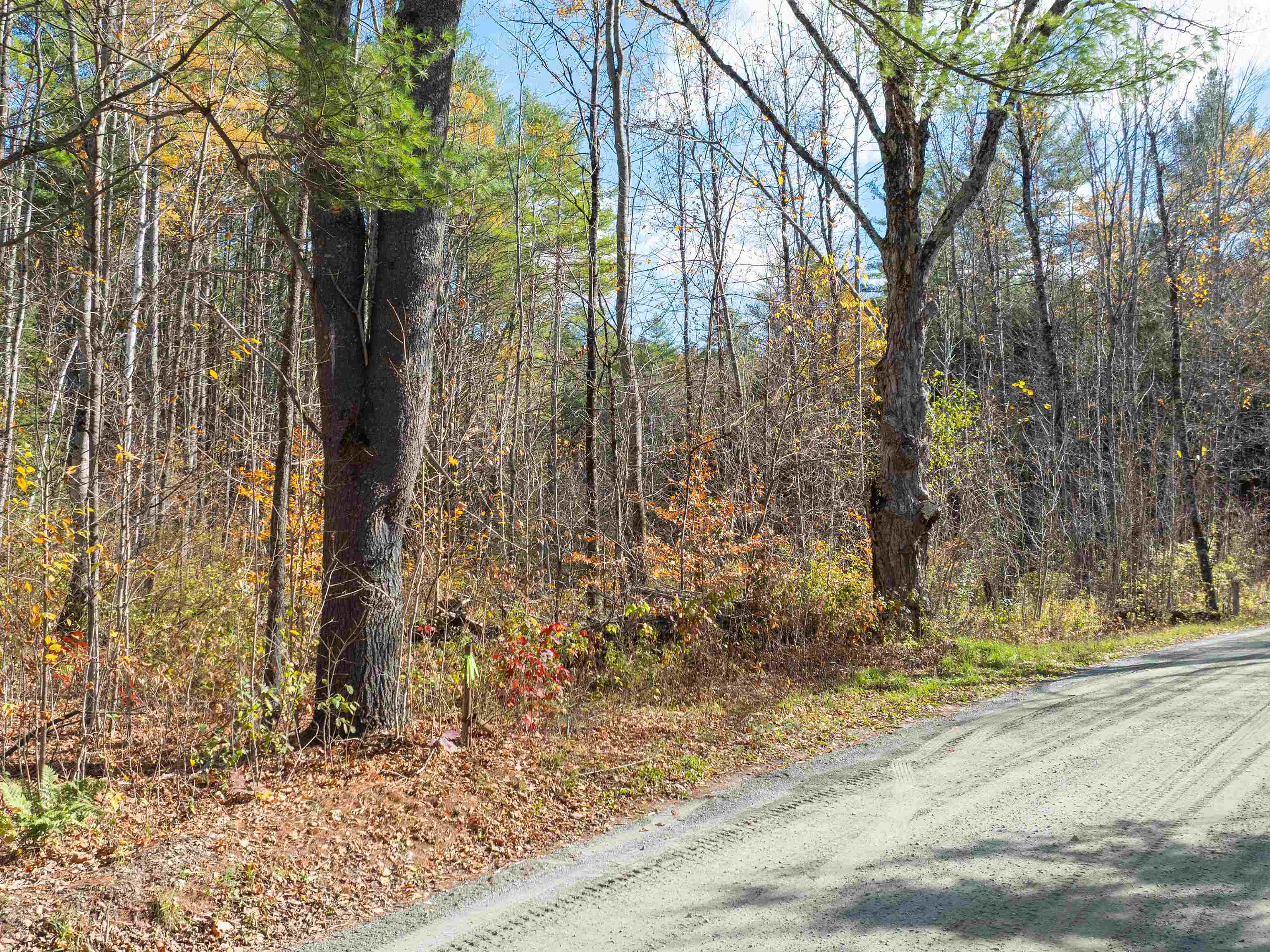 00 Carlton Hill Road