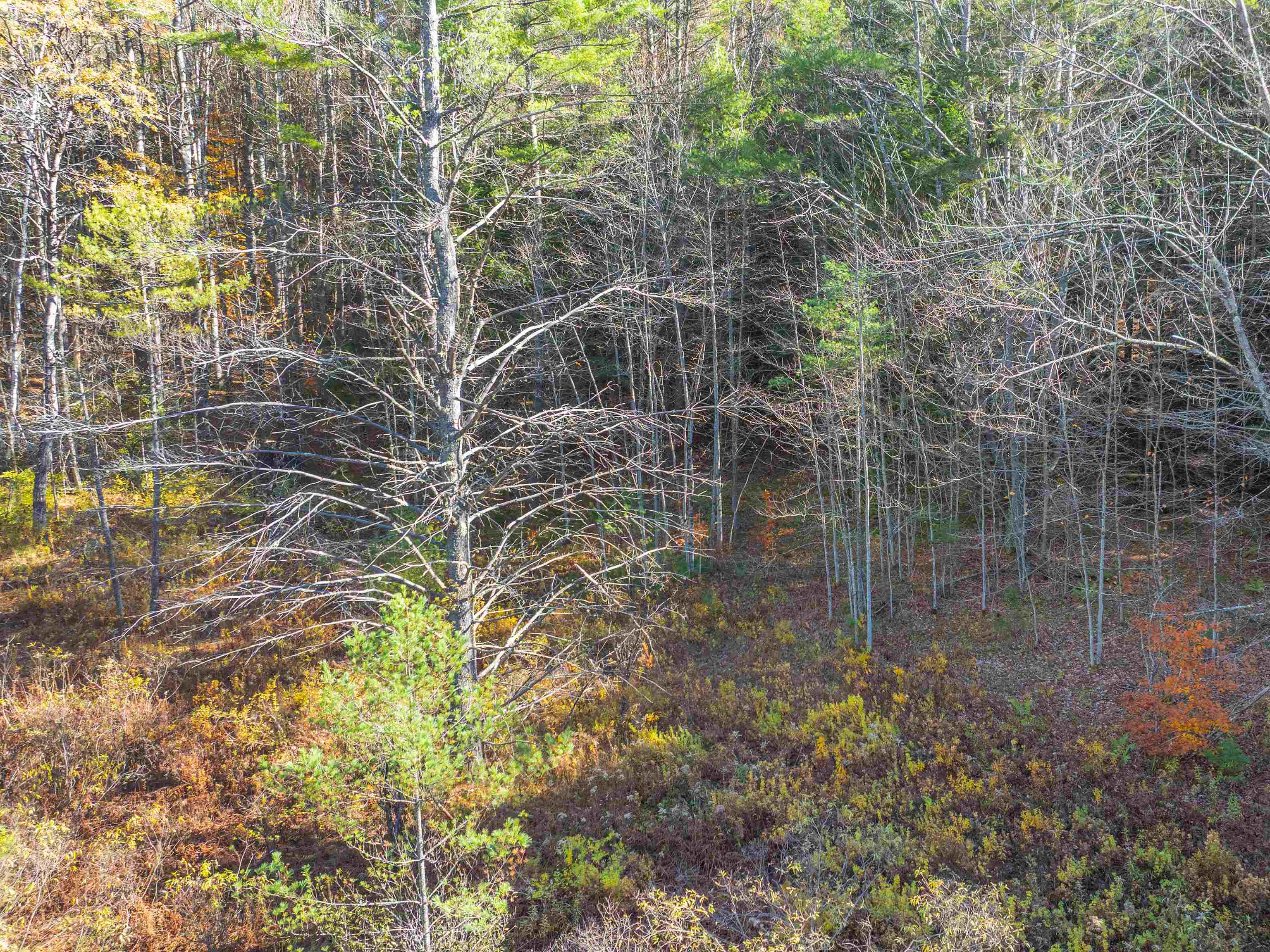 00 Carlton Hill Road