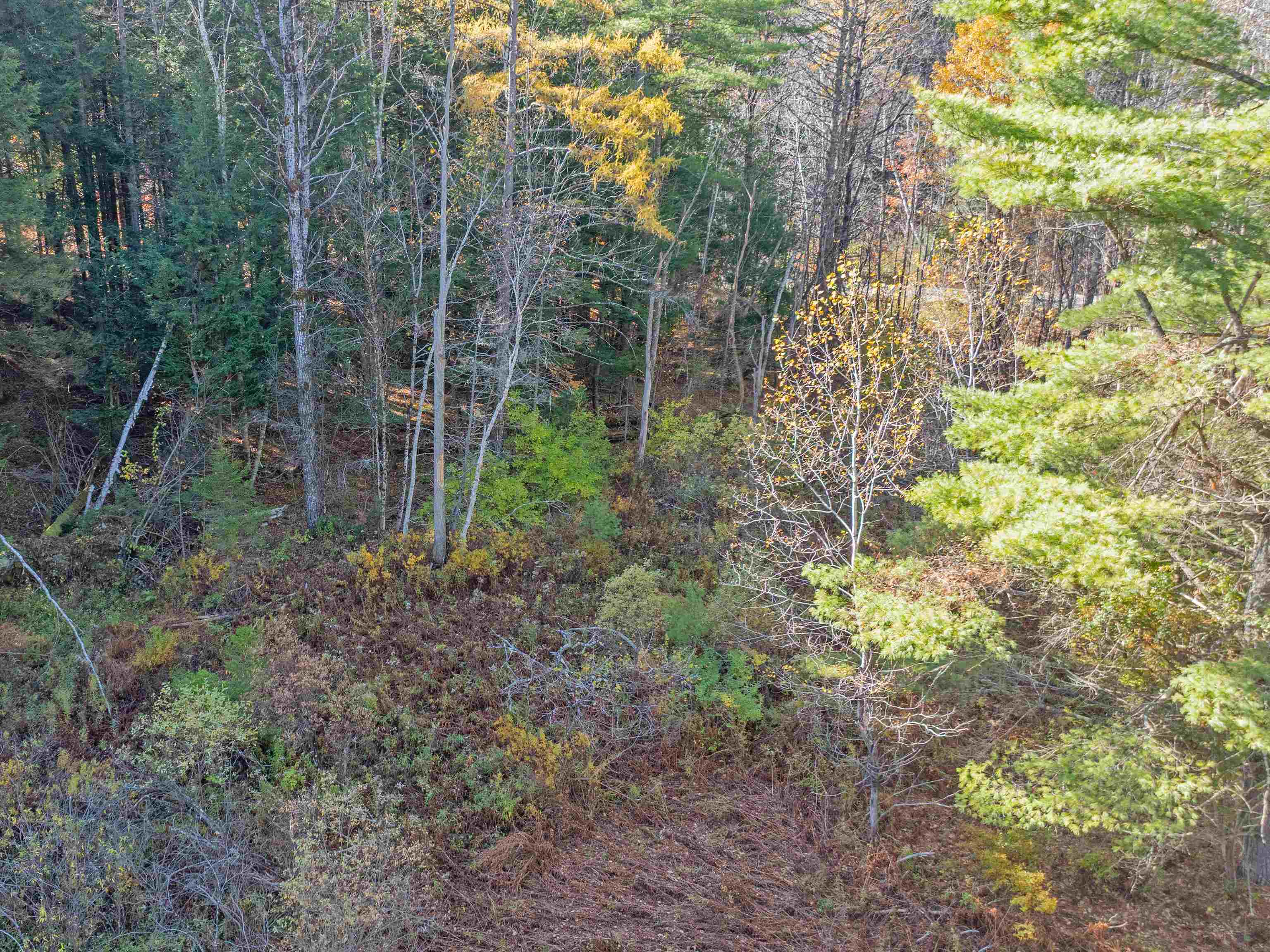 00 Carlton Hill Road