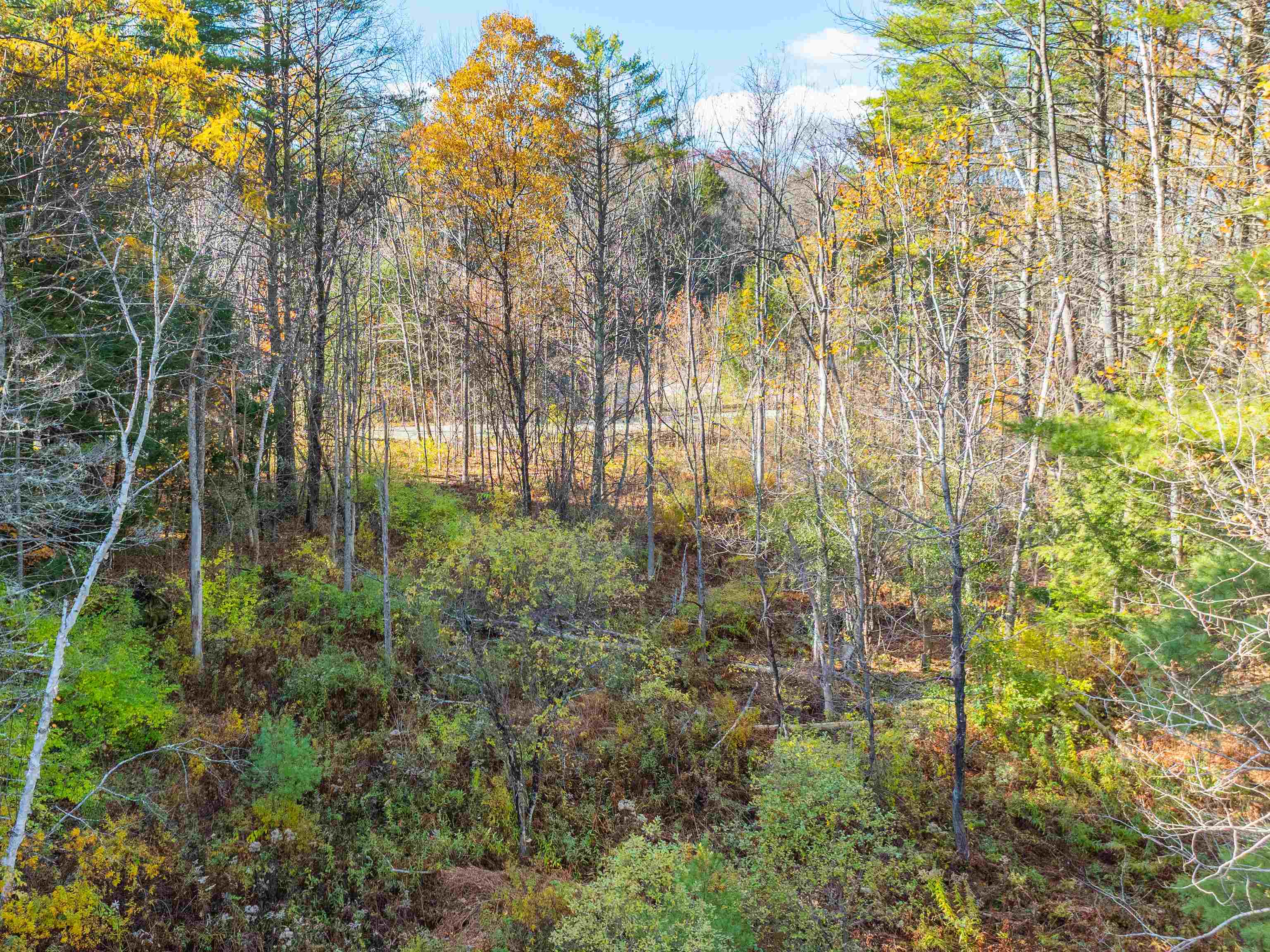 00 Carlton Hill Road