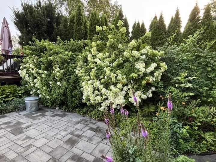 17 Alderwood Court