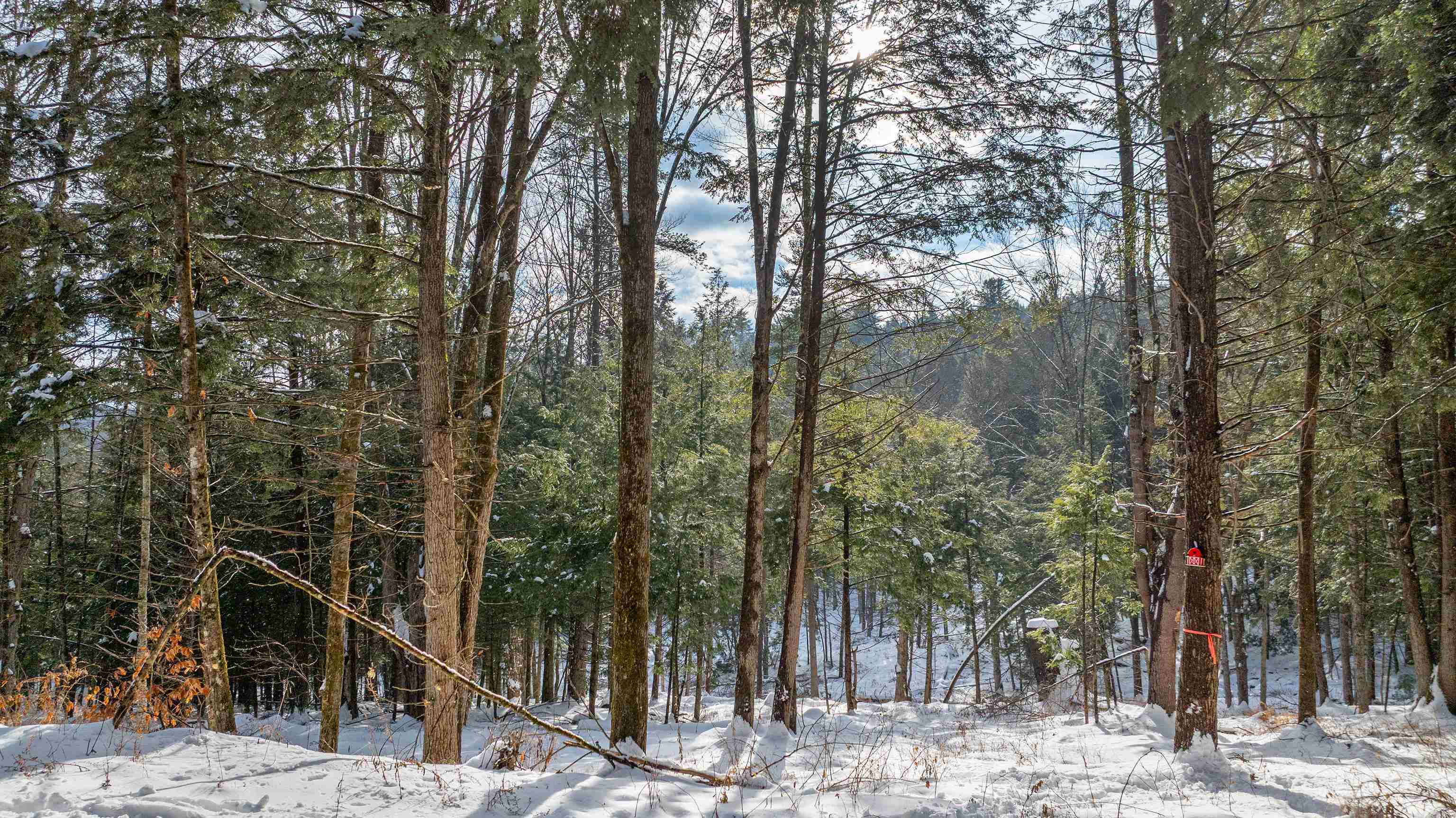 0 Fay Lane Unit: 7226 and 7227