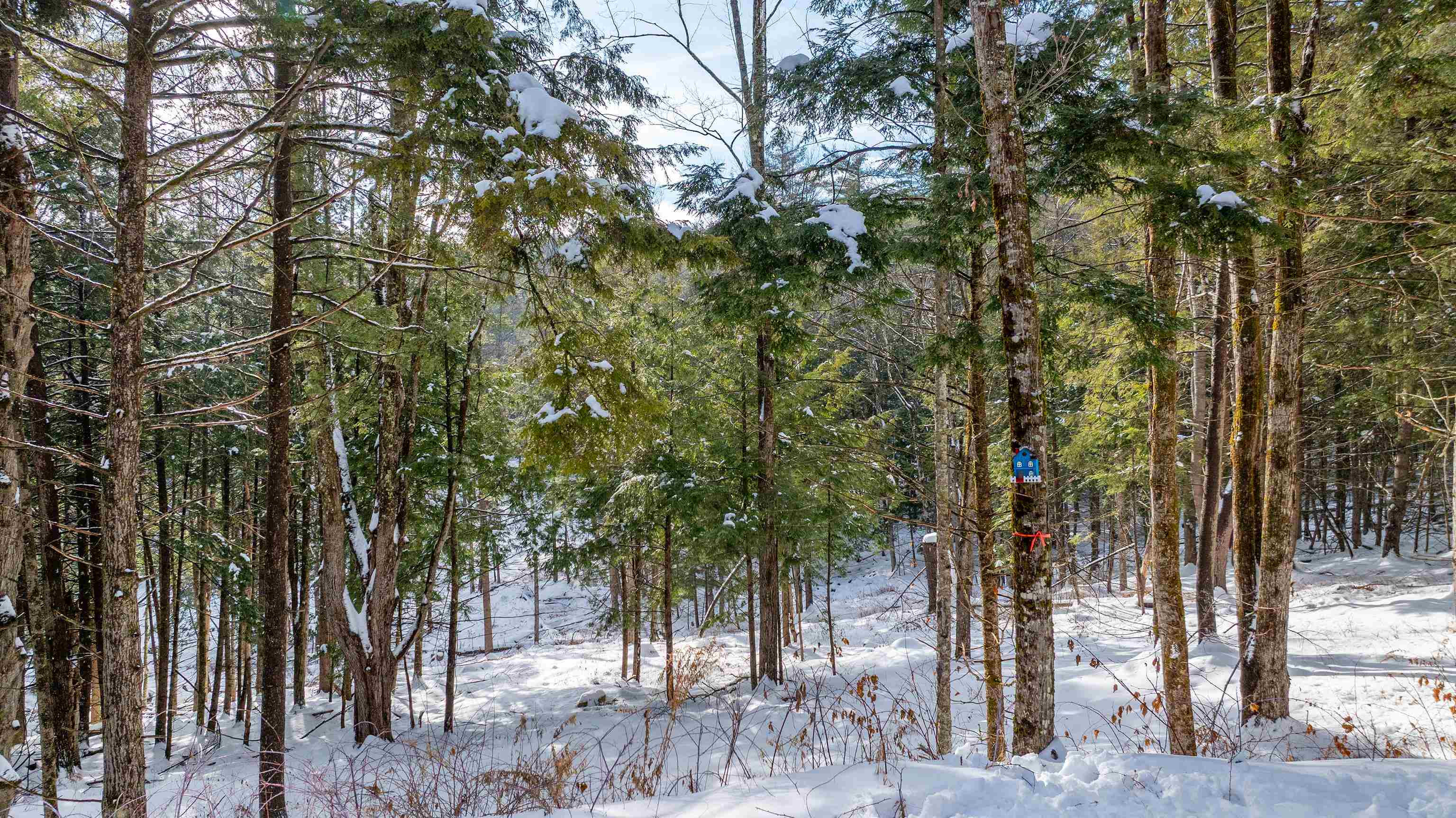 0 Fay Lane Unit: 7226 and 7227