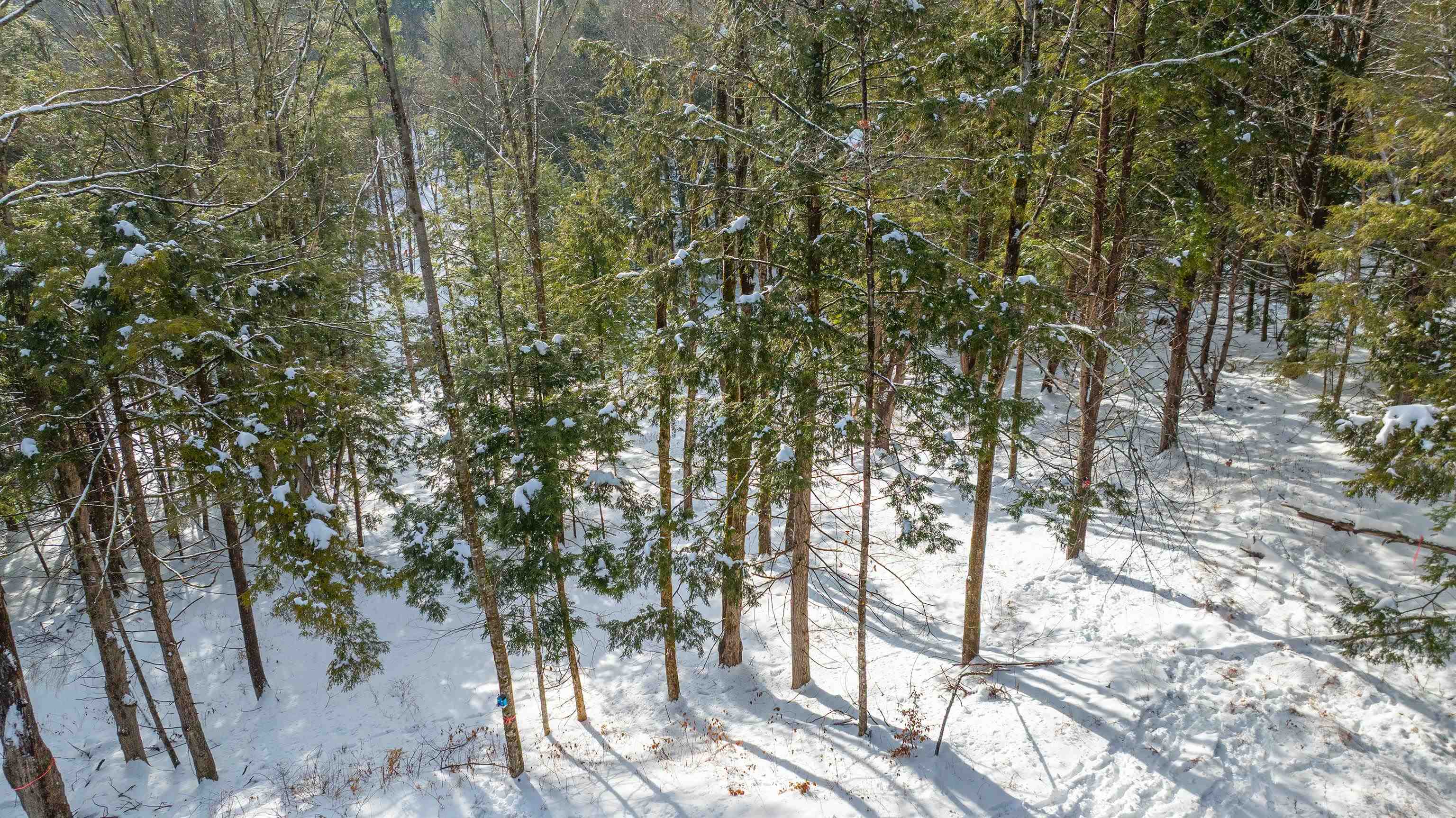 0 Fay Lane Unit: 7226 and 7227