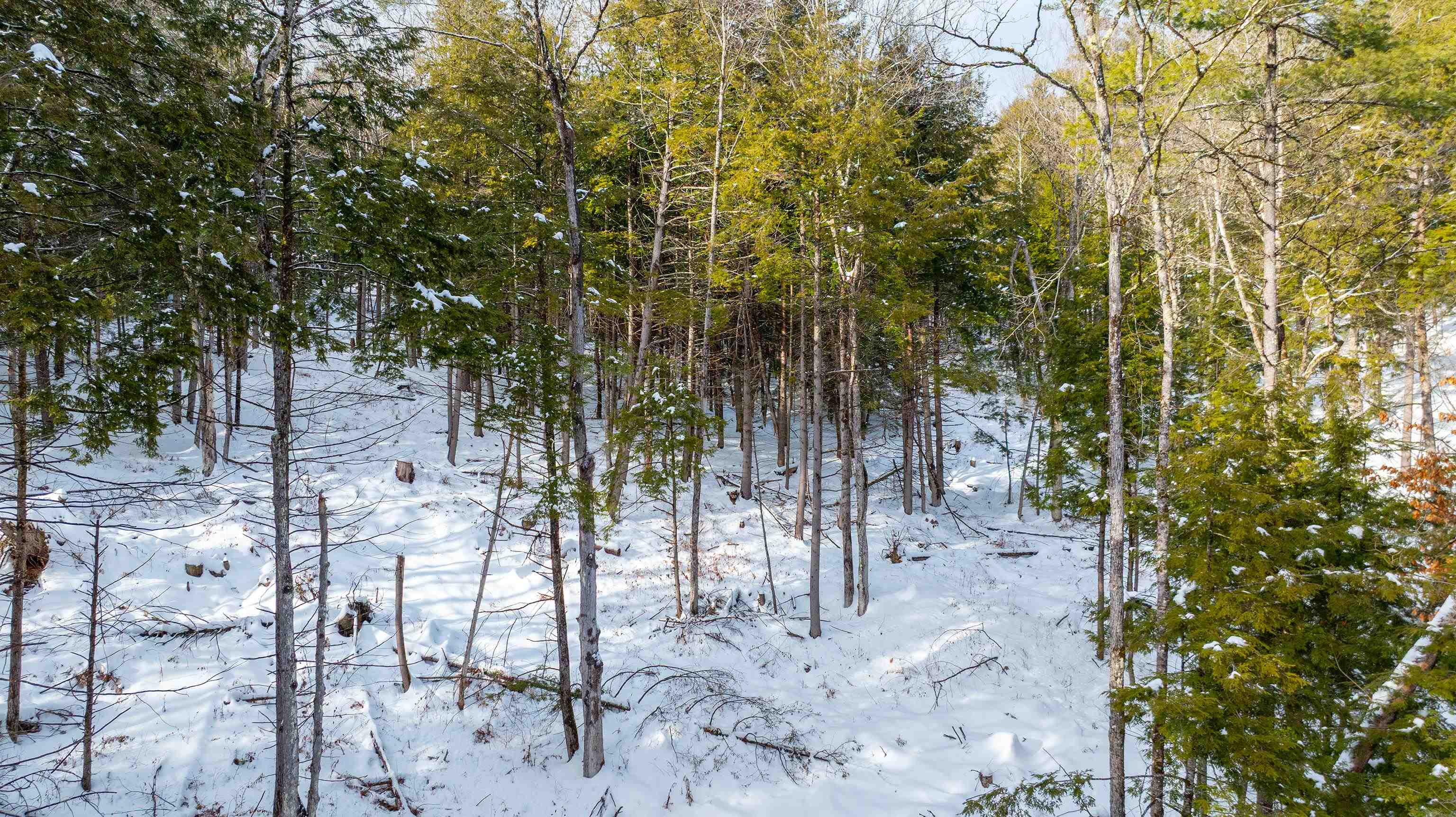 0 Fay Lane Unit: 7226 and 7227