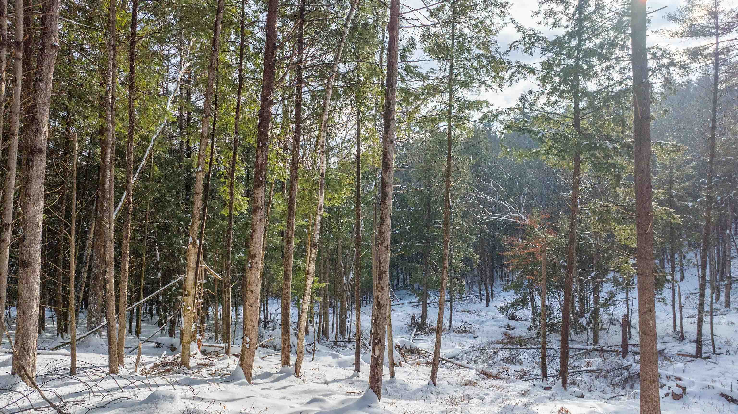 0 Fay Lane Unit: 7226 and 7227