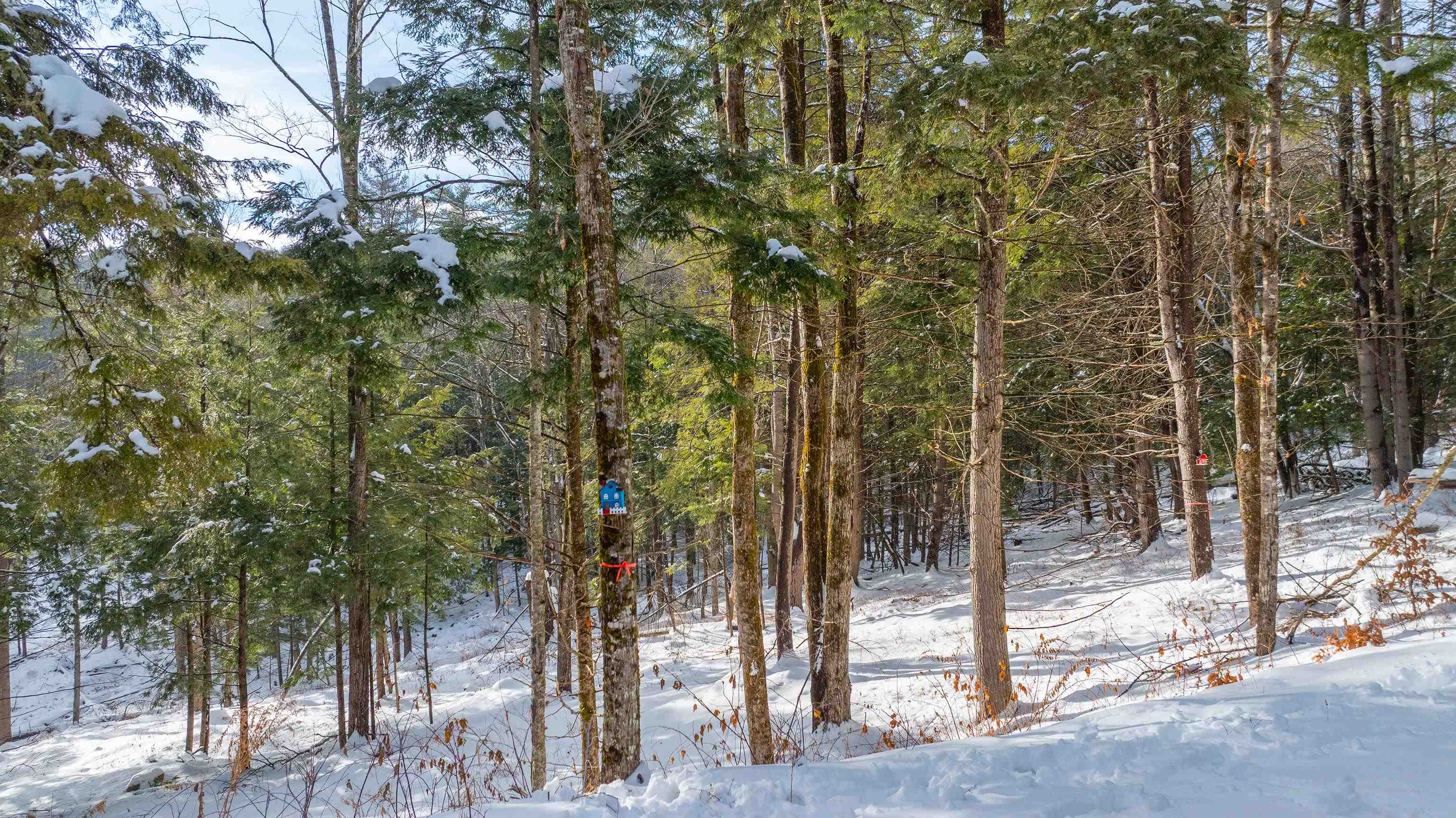 0 Fay Lane Unit: 7226 and 7227