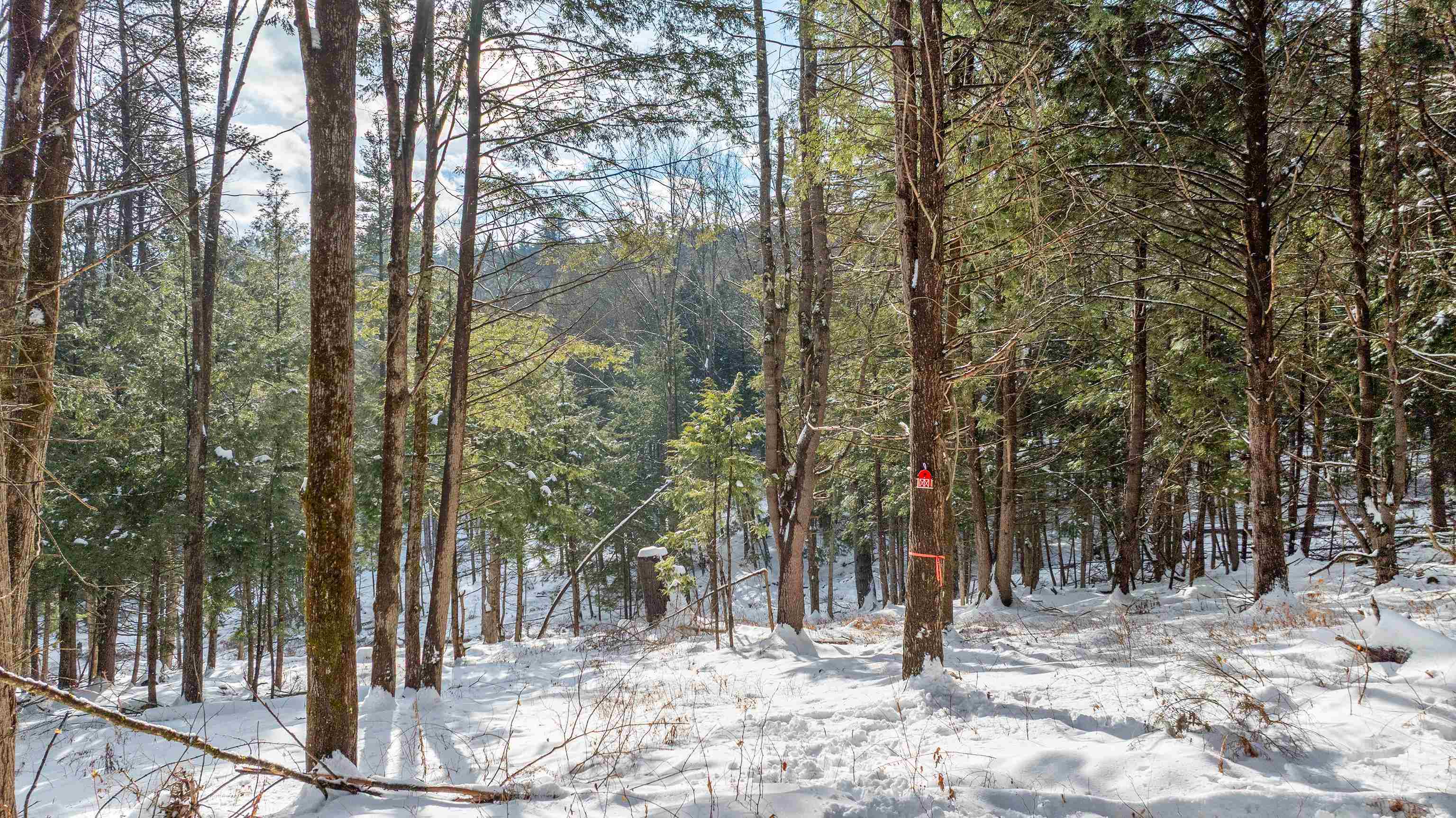 0 Fay Lane Unit: 7226 and 7227