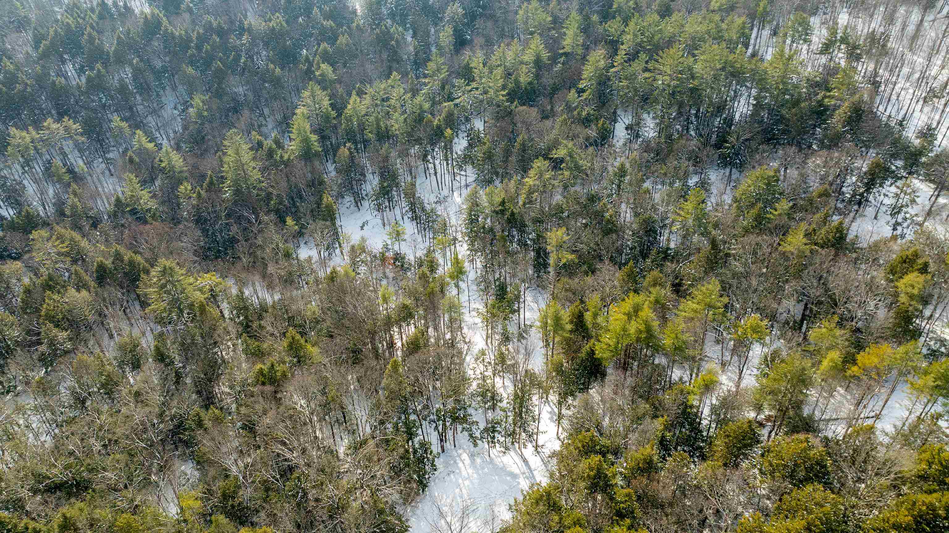 0 Fay Lane Unit: 7226 and 7227