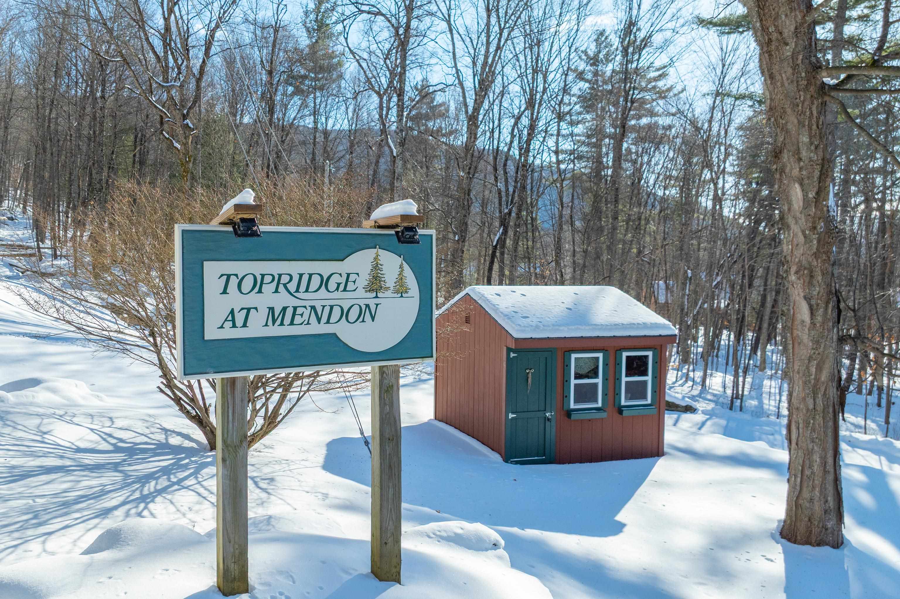 127 Top Ridge Unit: Lot 4