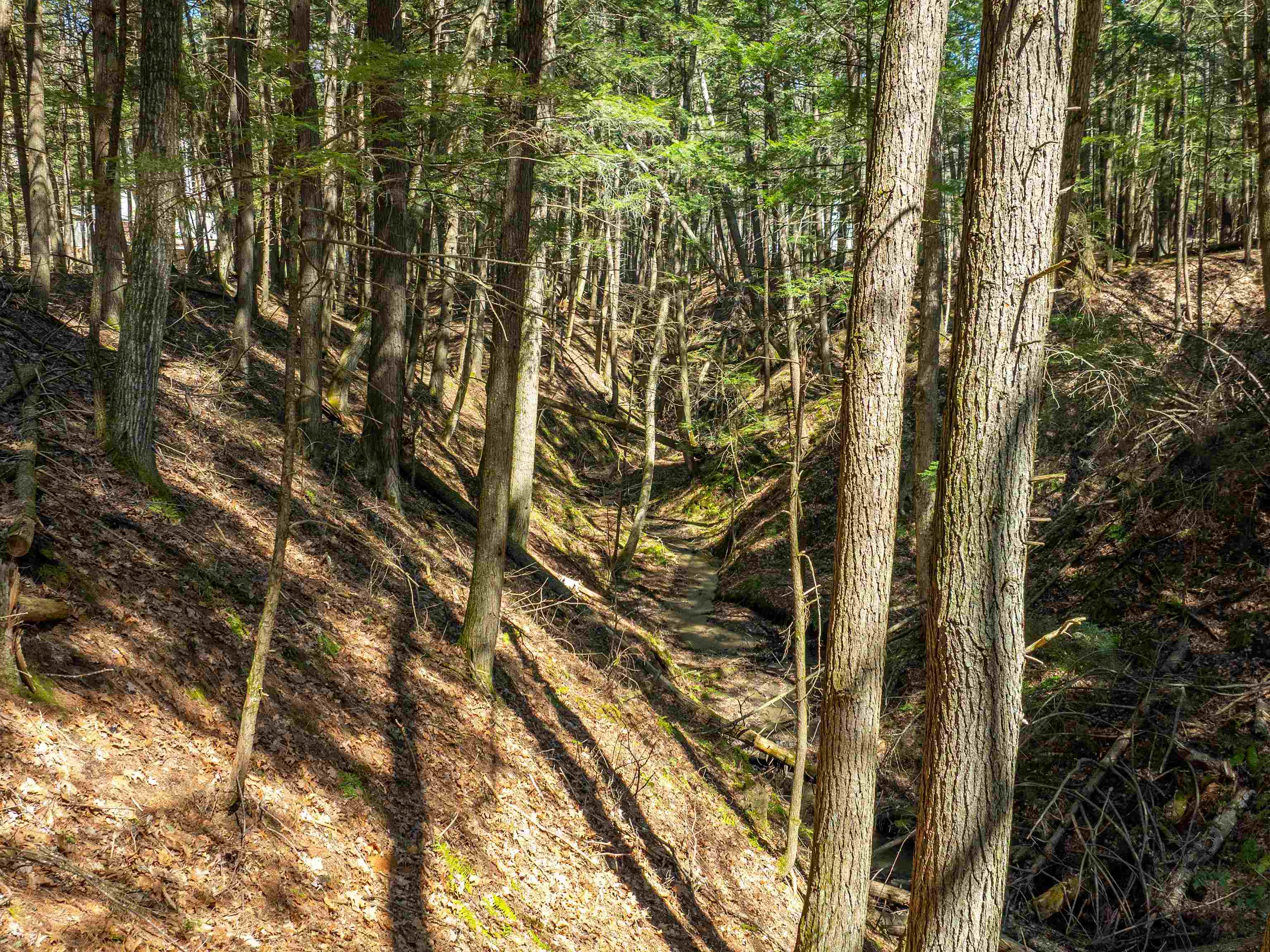 00 Morrill Bend