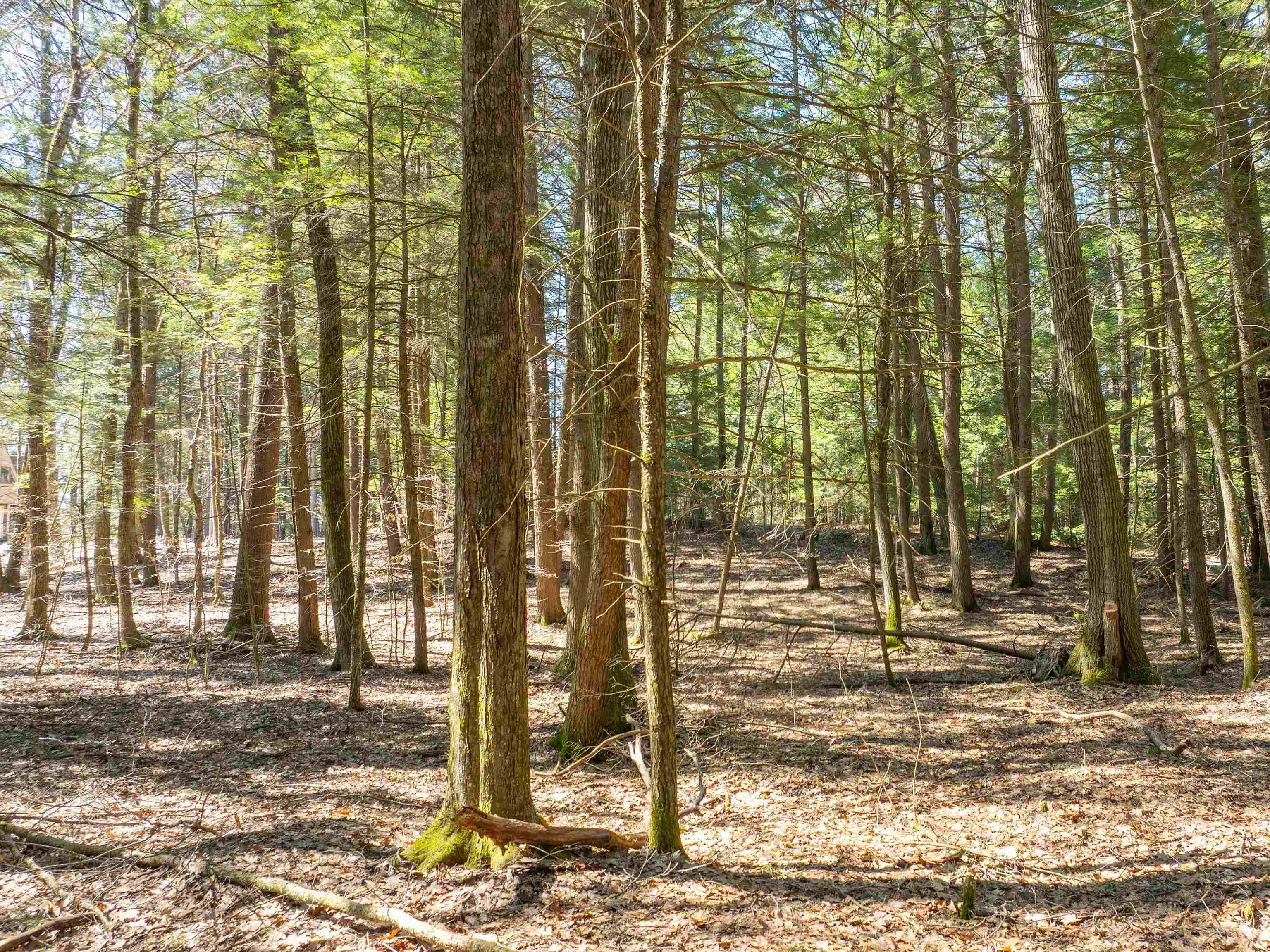 00 Morrill Bend