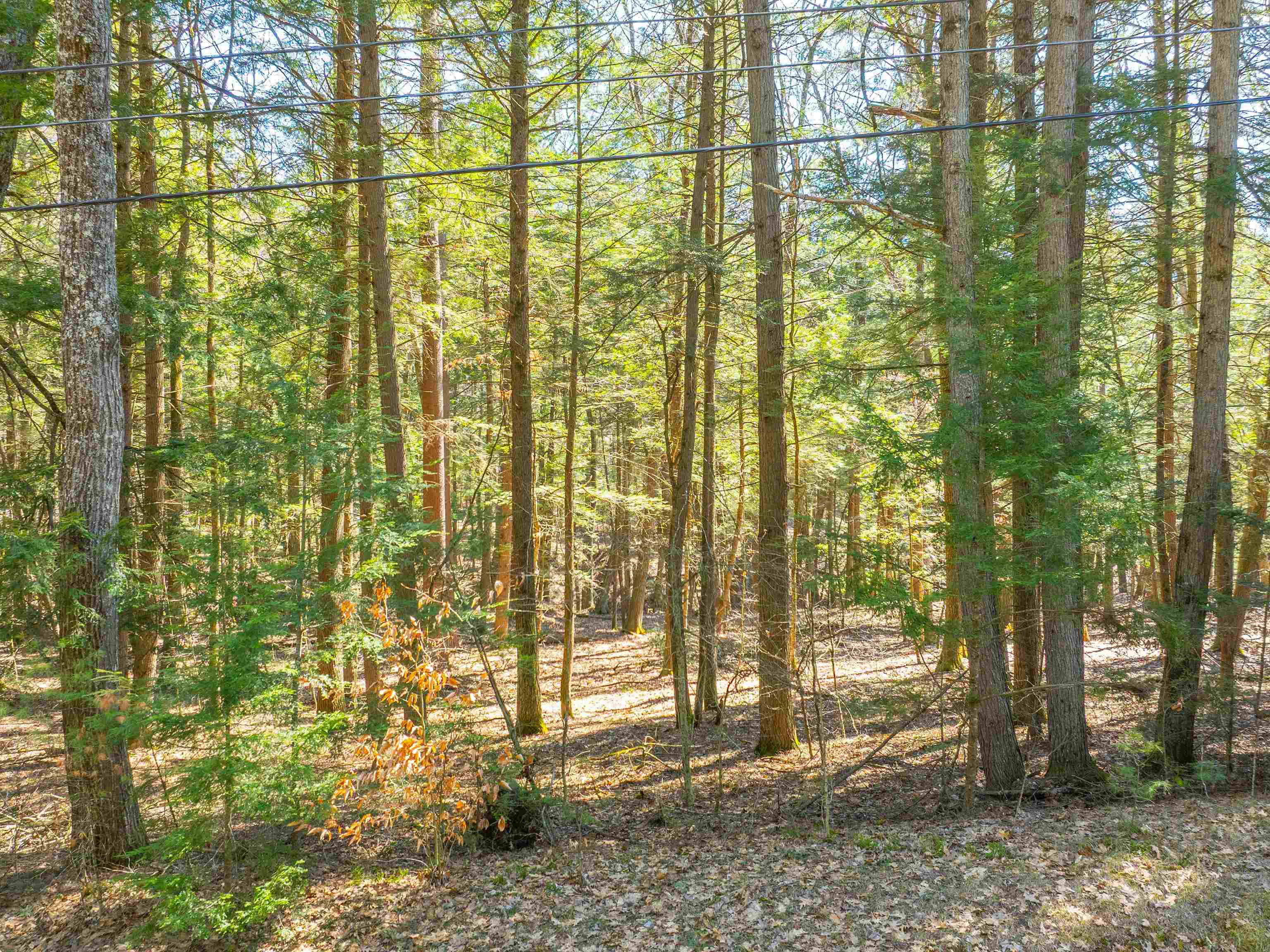 00 Morrill Bend