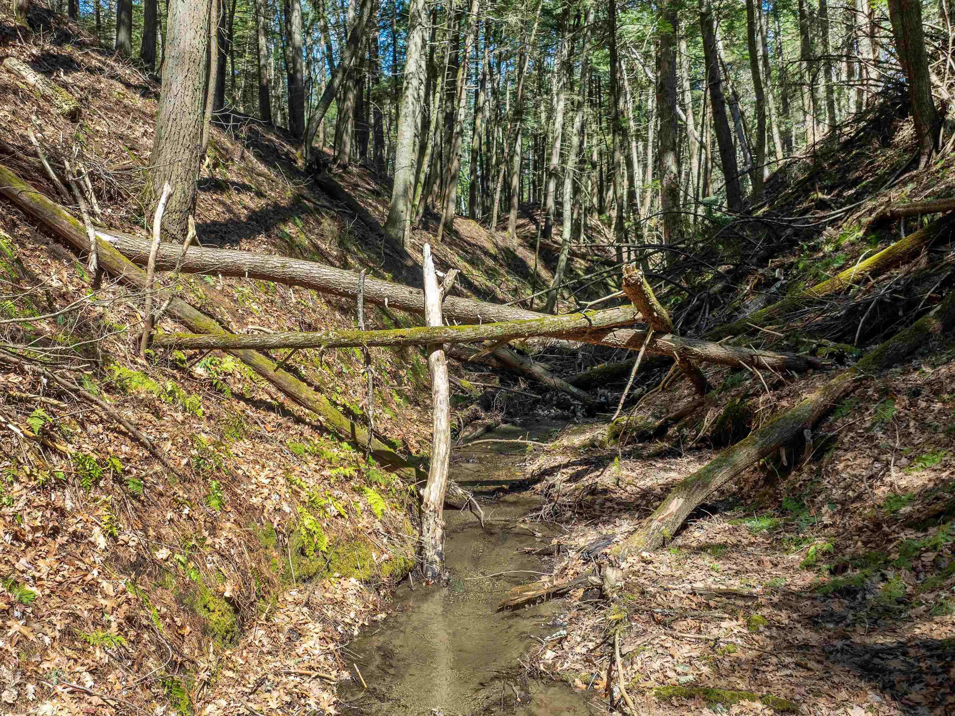 00 Morrill Bend