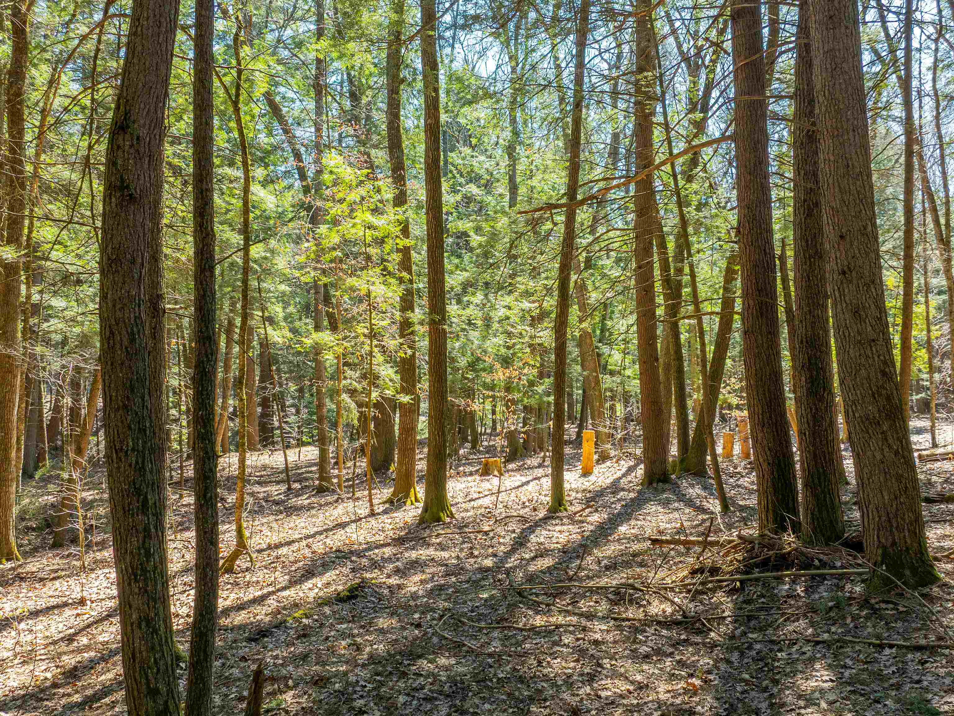 00 Morrill Bend