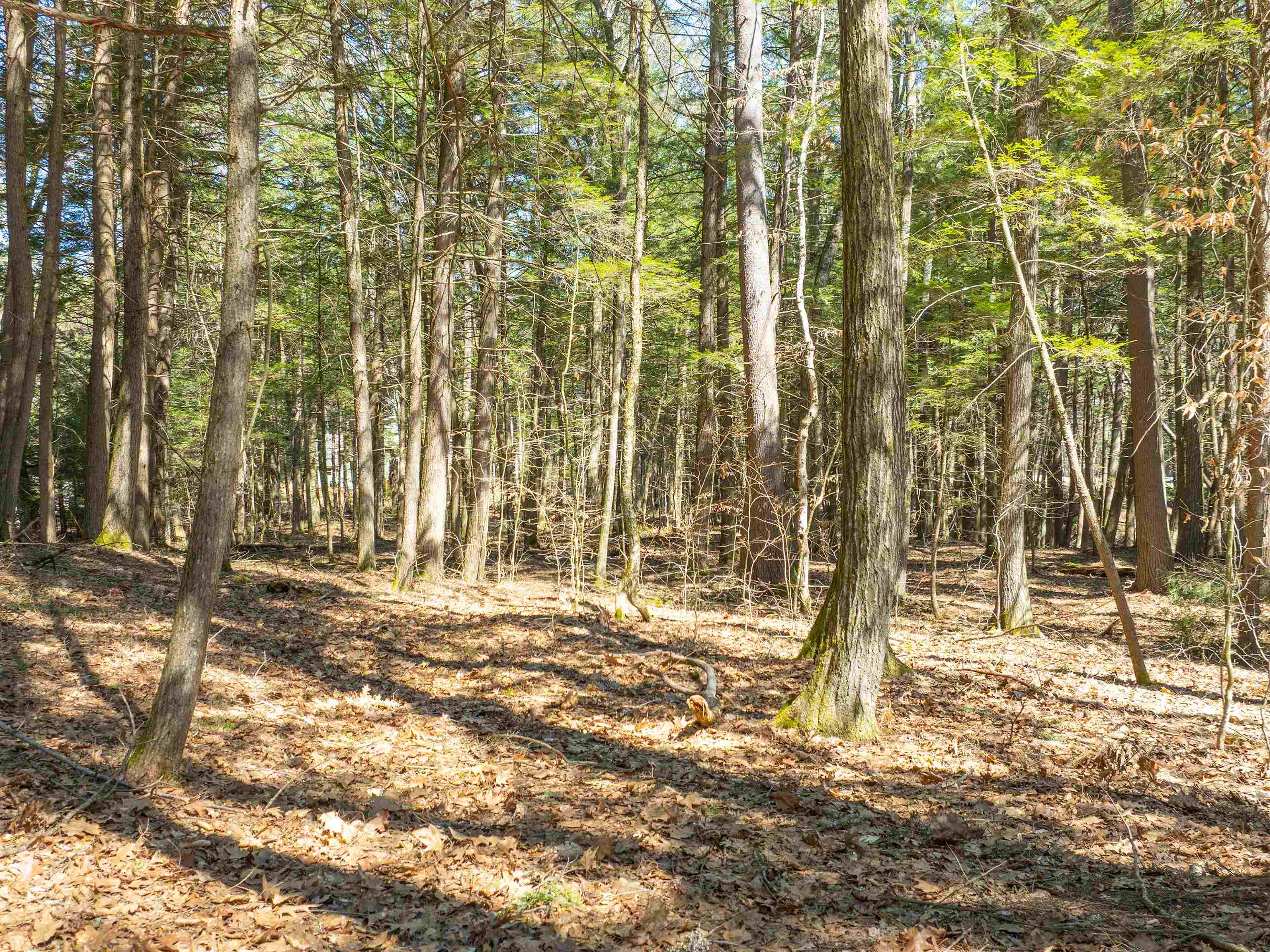 00 Morrill Bend