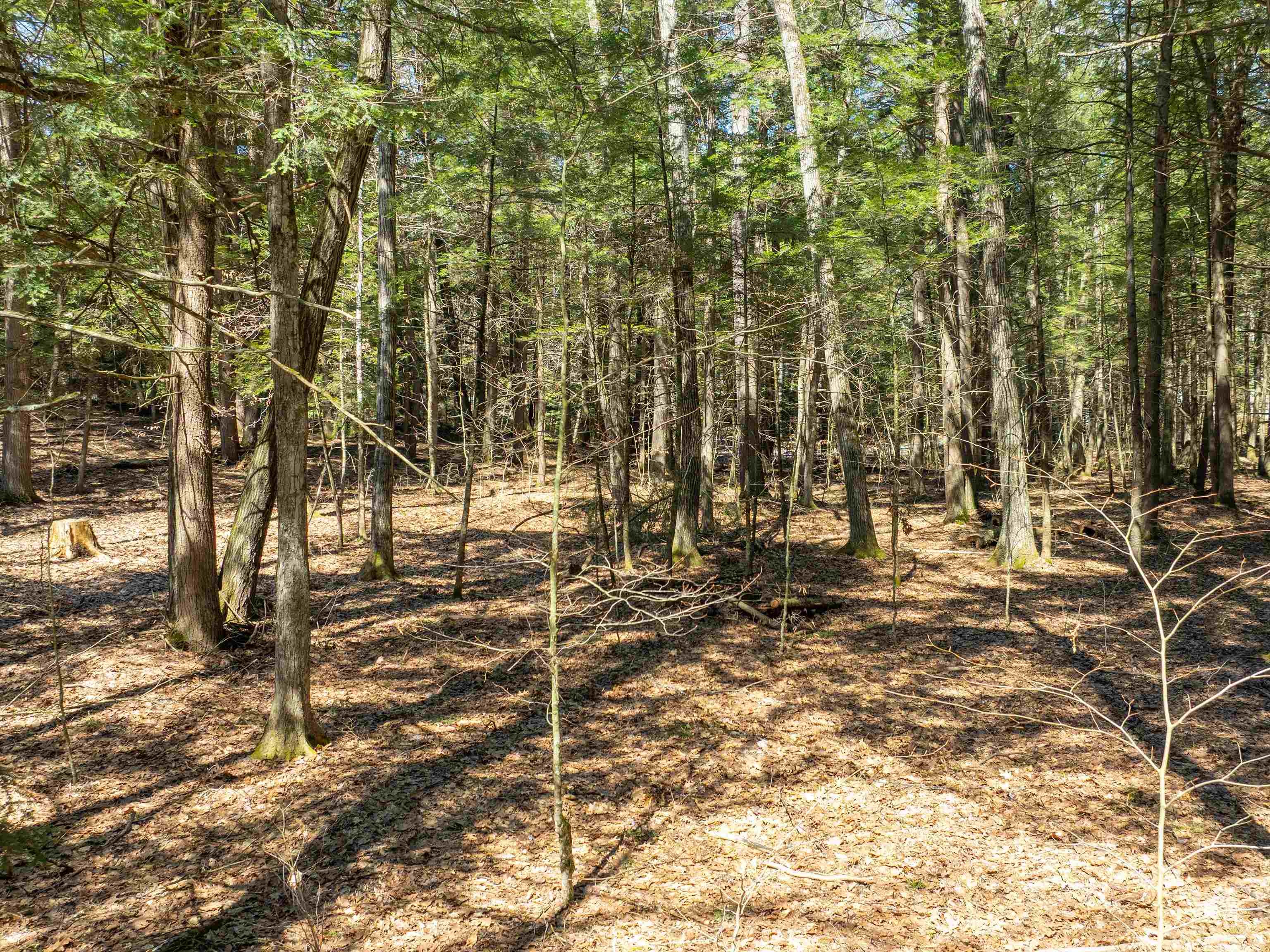 00 Morrill Bend