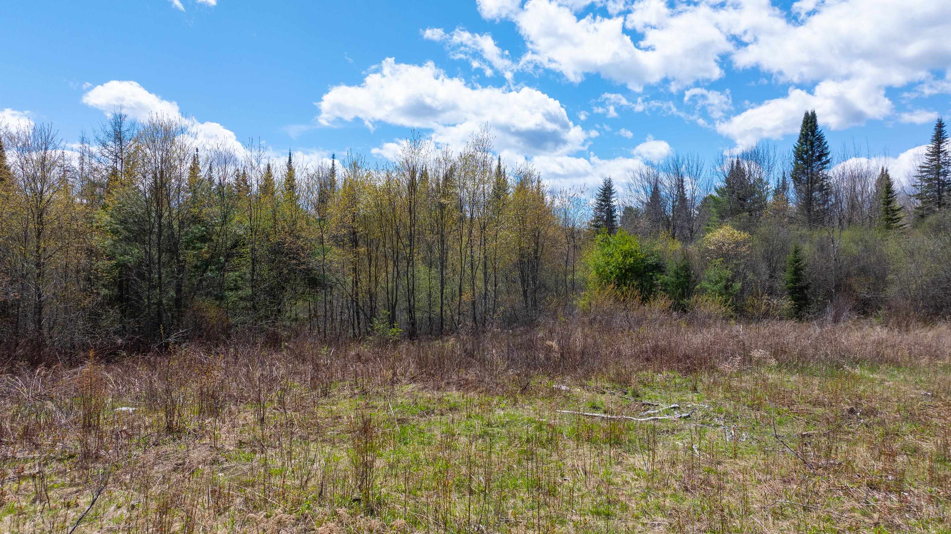 491 Mount Eustis Road