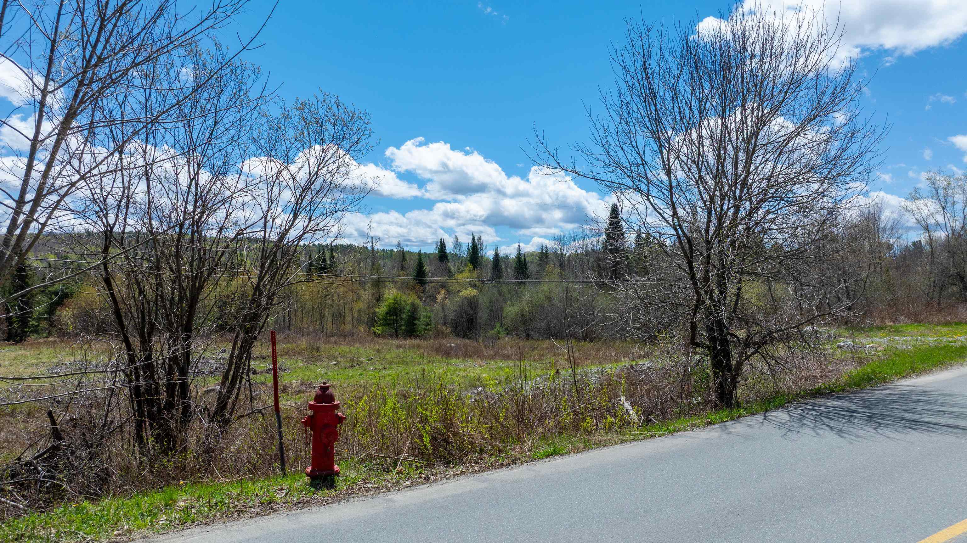 491 Mount Eustis Road