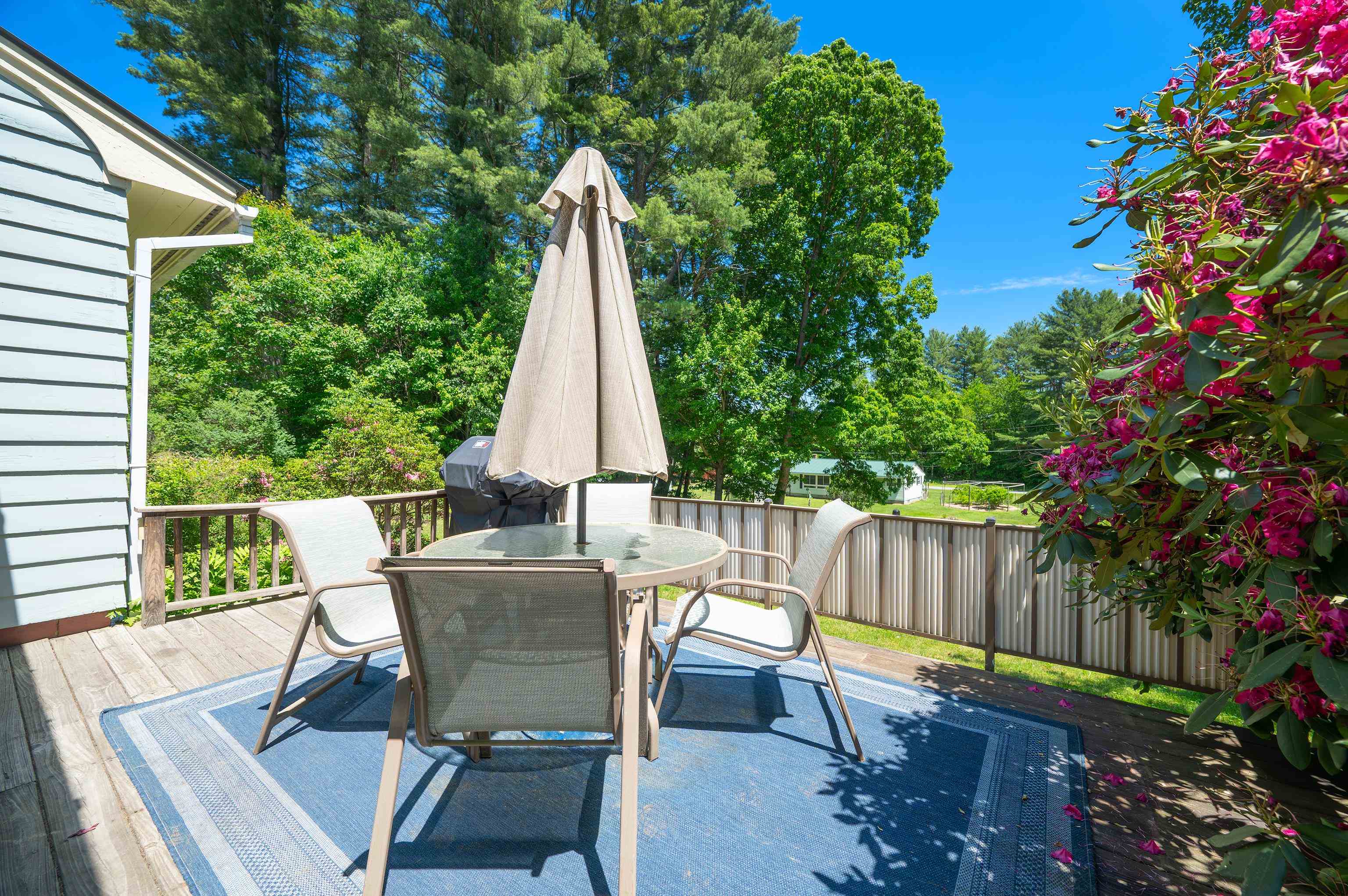 56 Jenness Road